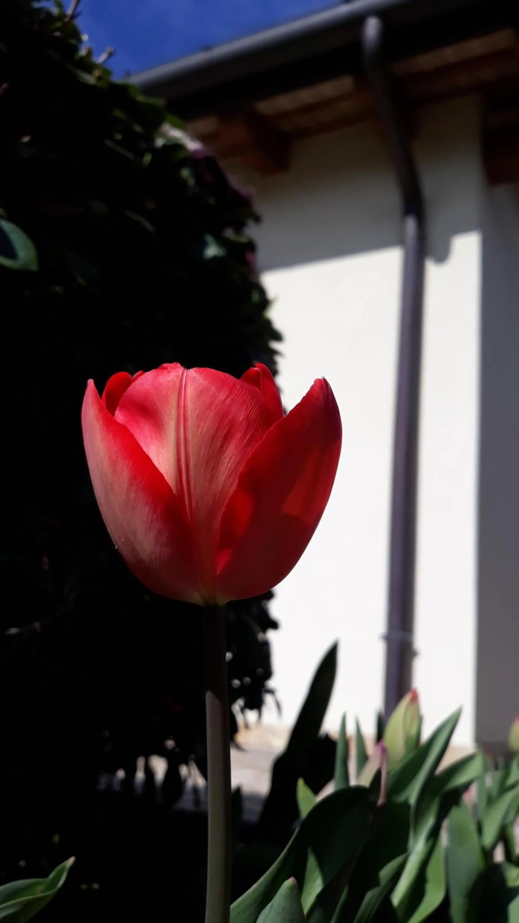 Natural landscape in La Casa di Linda