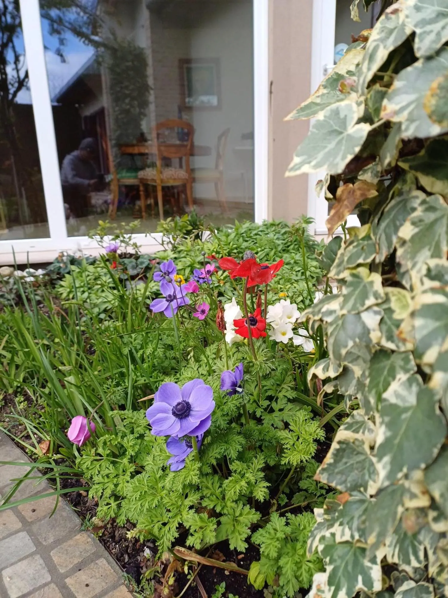 Garden in La Casa di Linda