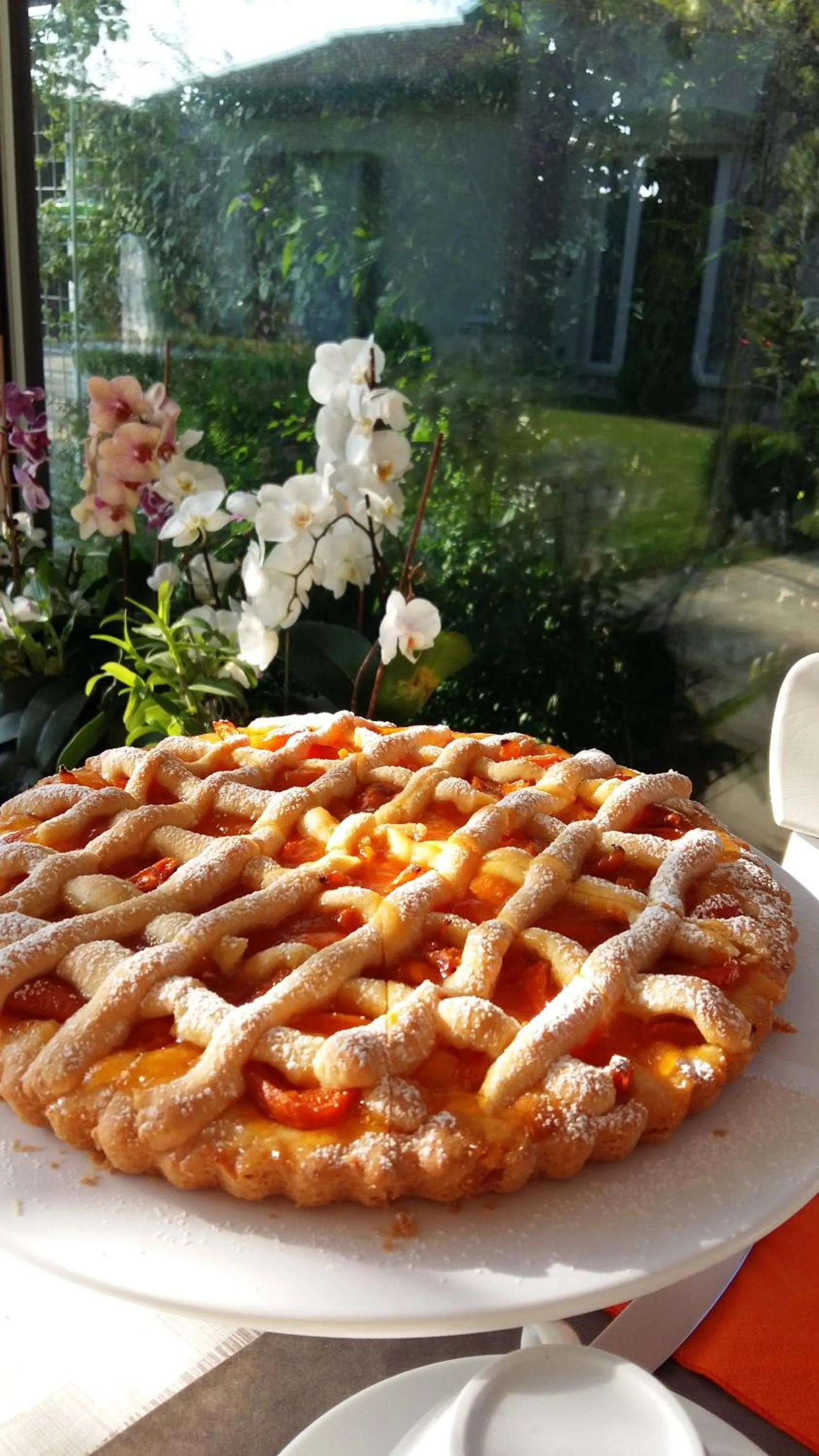 Garden in La Casa di Linda