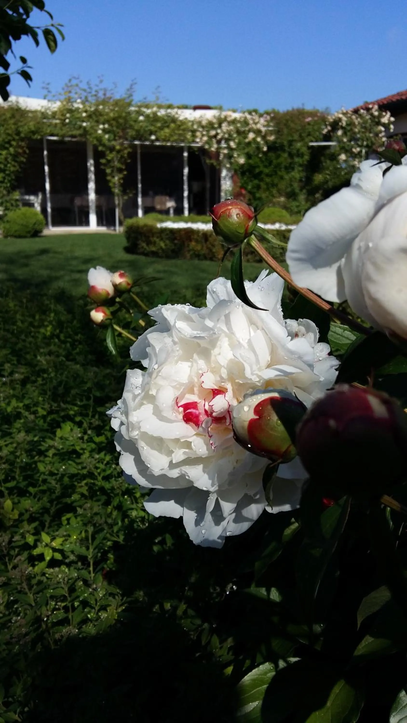 Floor plan in La Casa di Linda