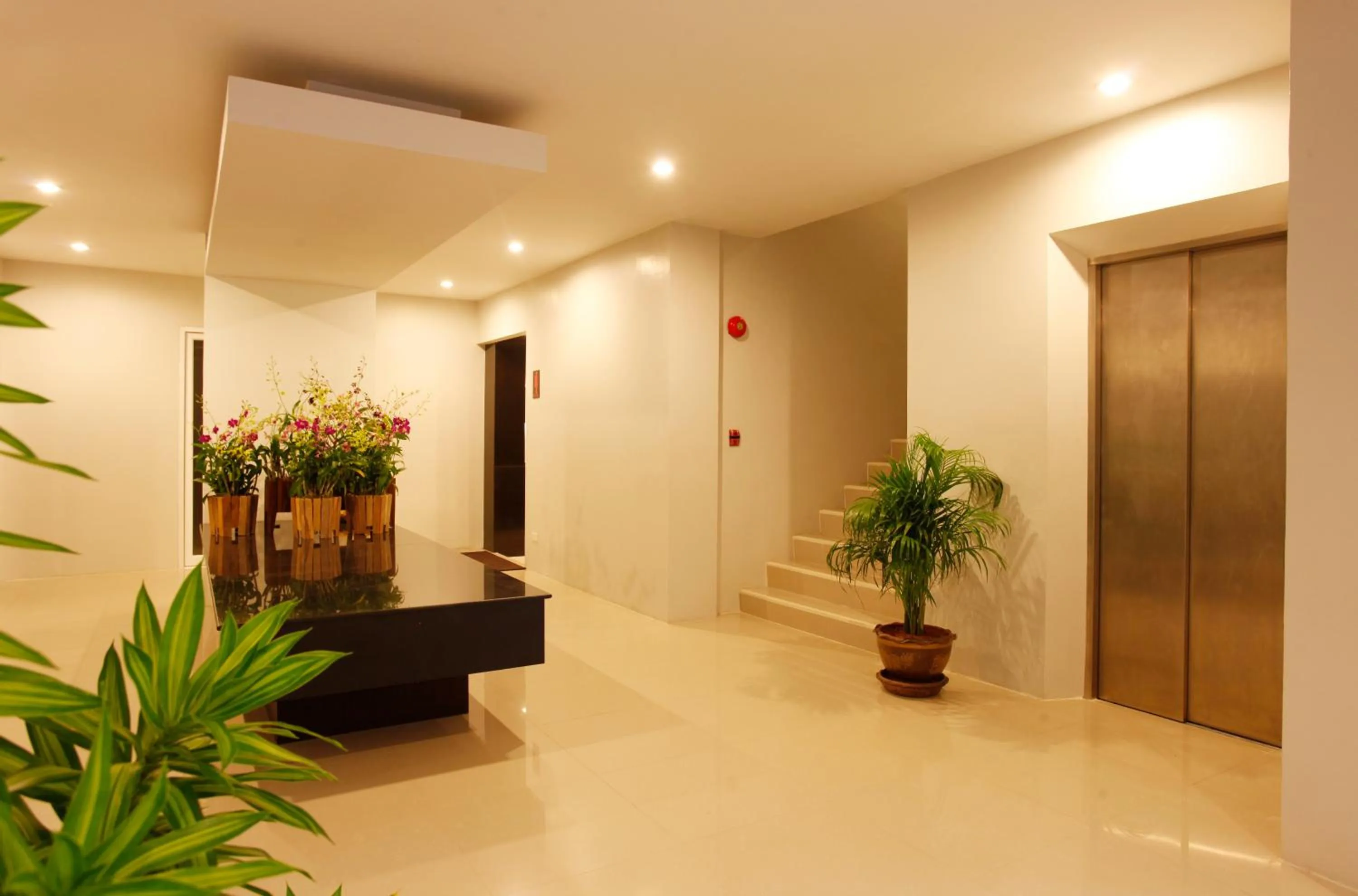 Lobby/Reception in Nize Hotel (SHA Plus)