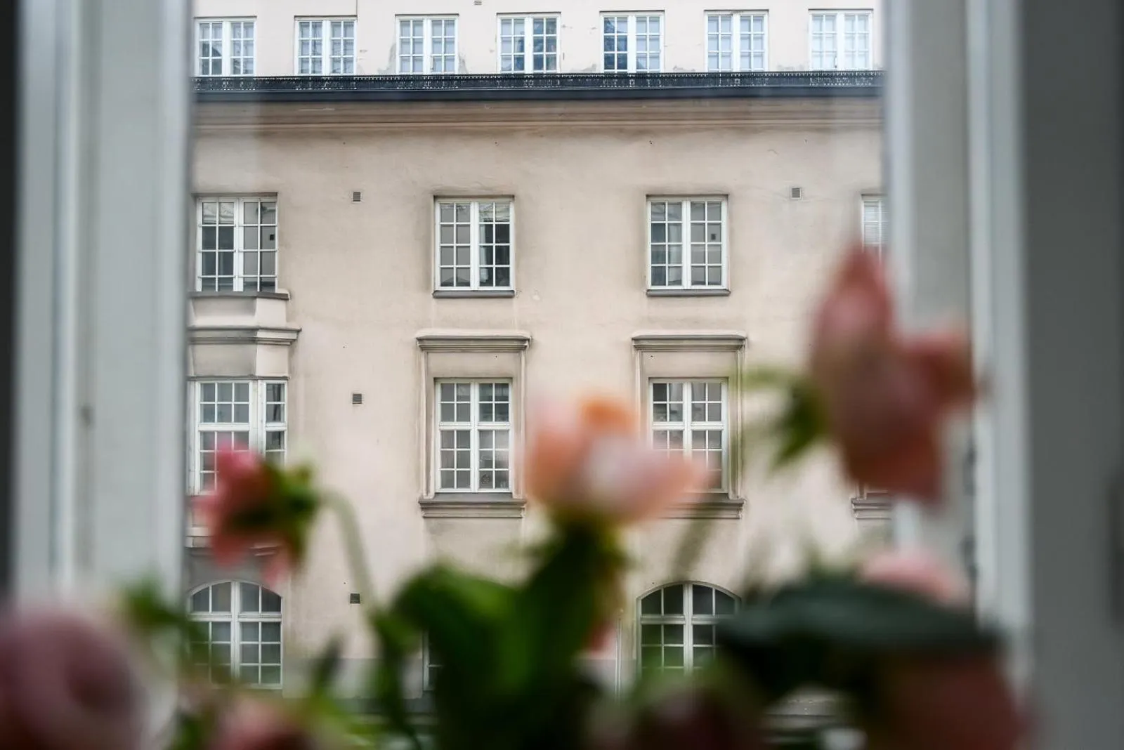 View (from property/room) in Hostel Diana Park