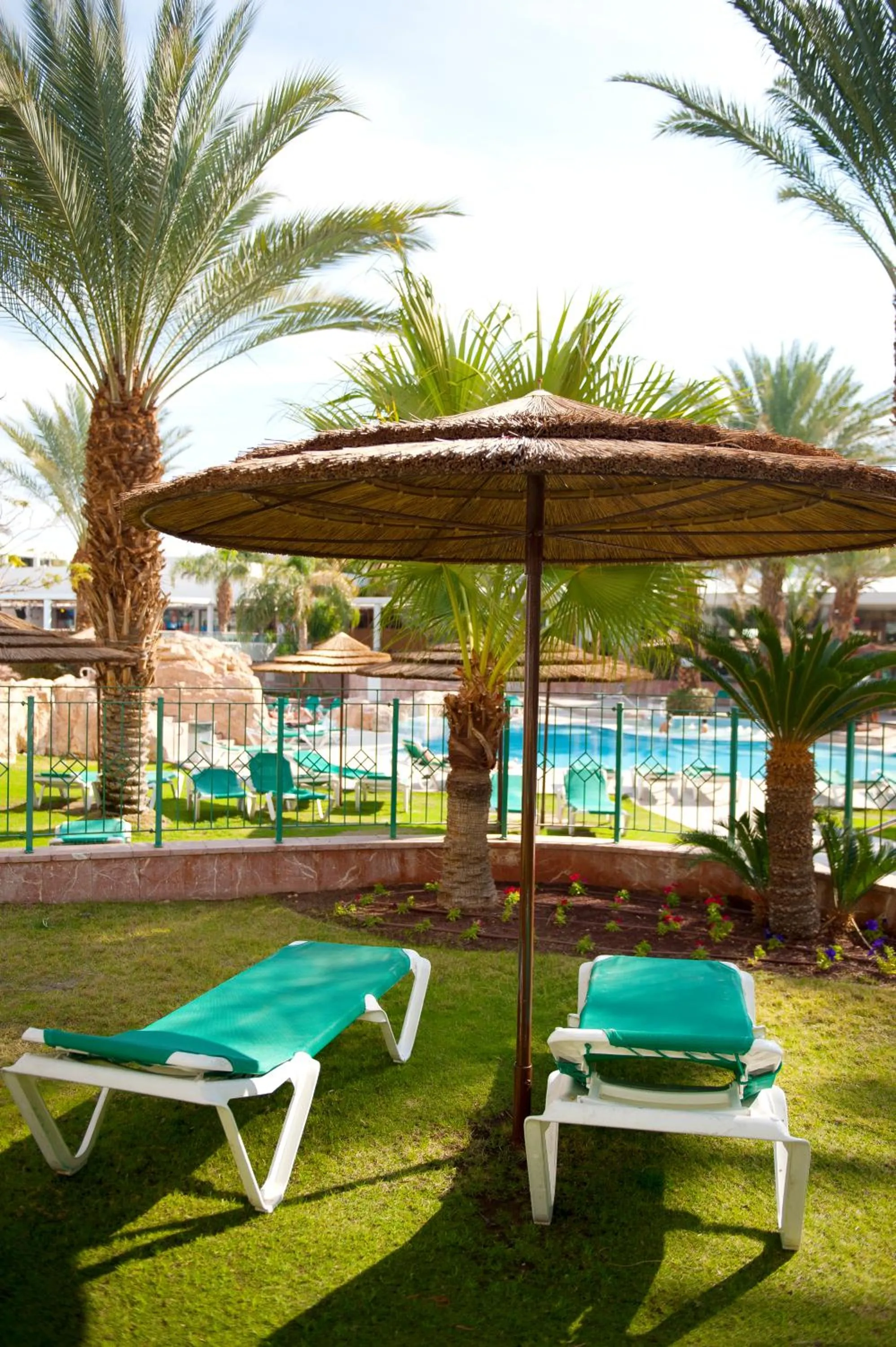 Day in Leonardo Club Eilat - All Inclusive