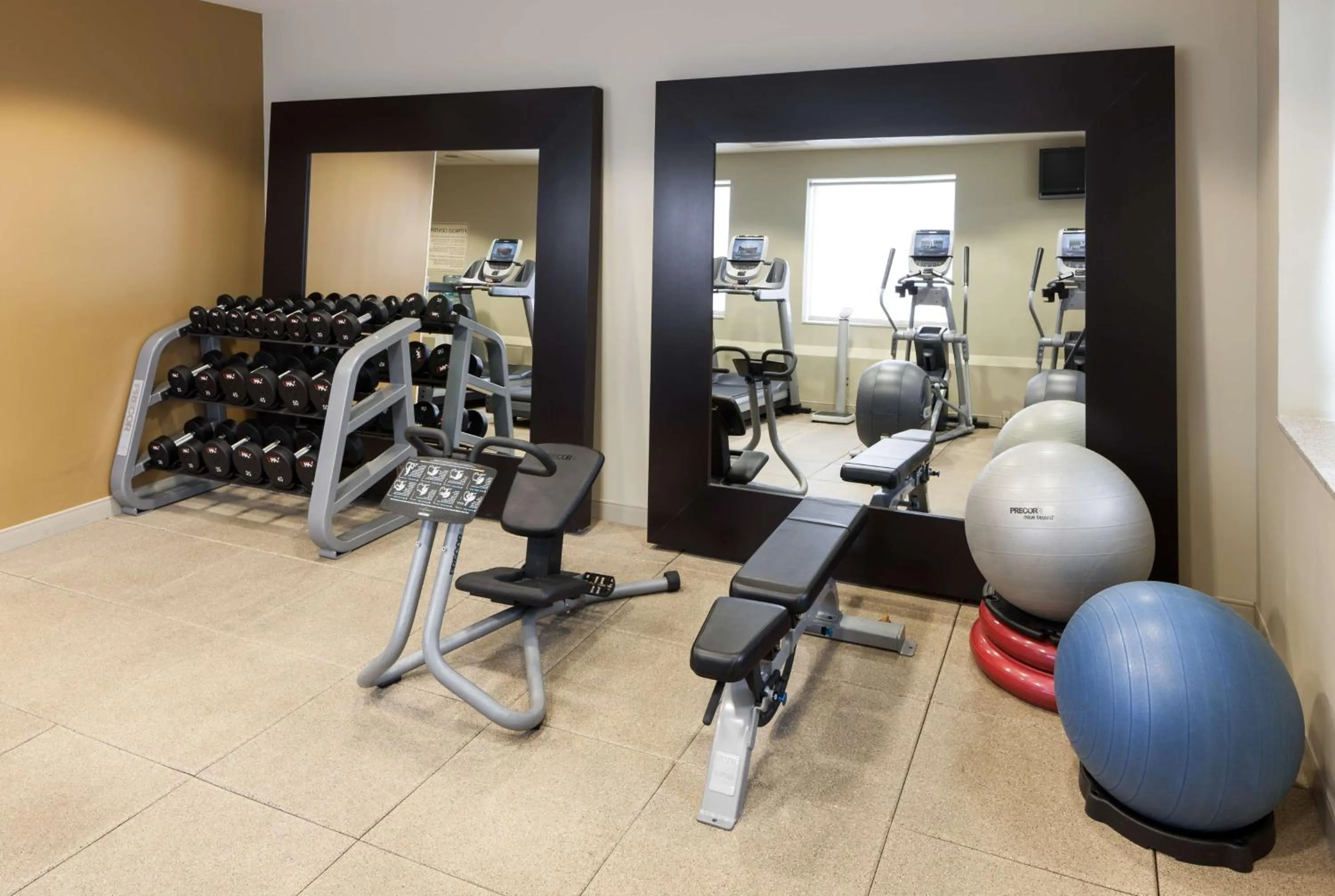 Fitness centre/facilities in Embassy Suites by Hilton Tampa Brandon