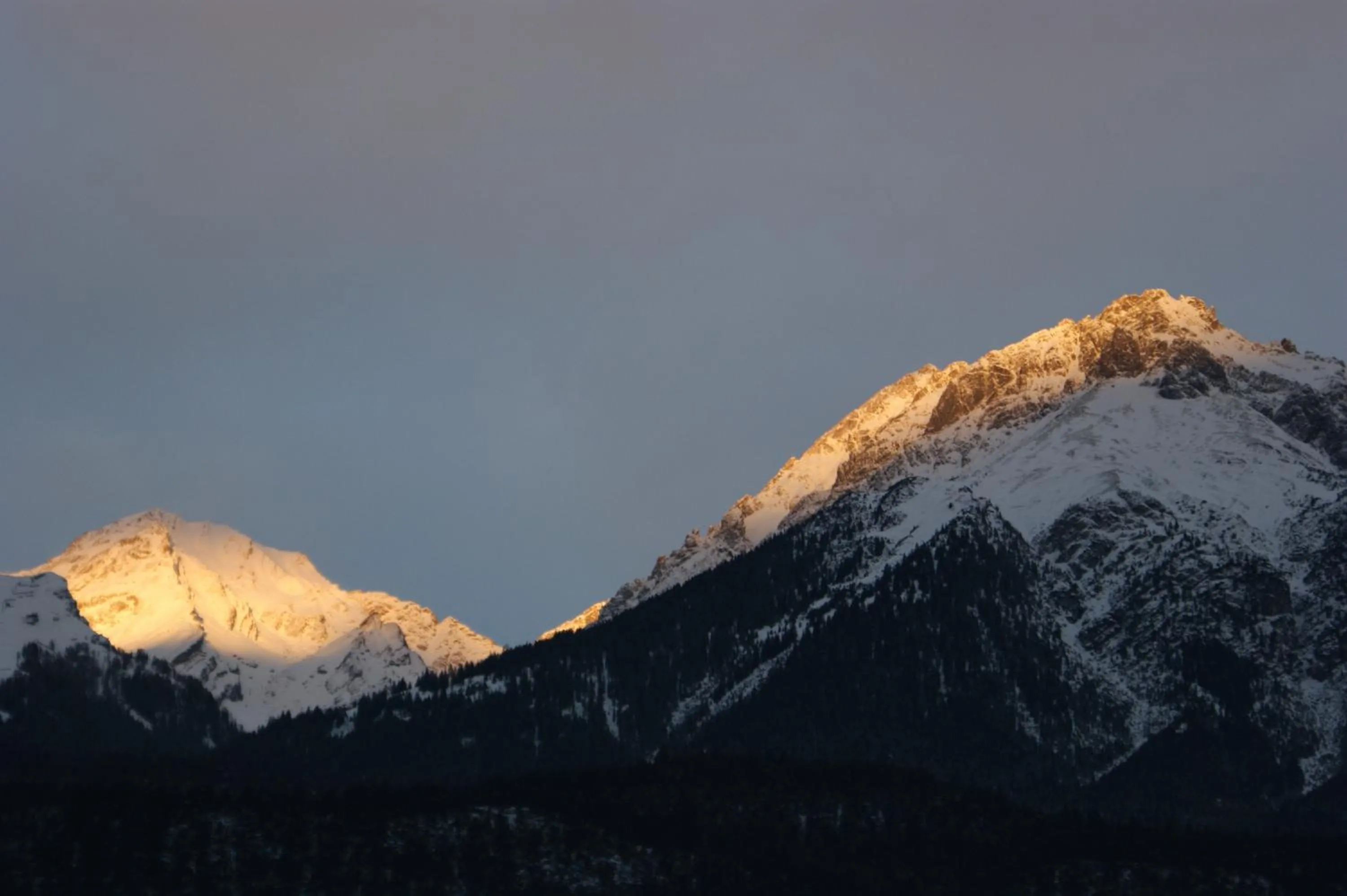 Area and facilities in Gasthof Sonne