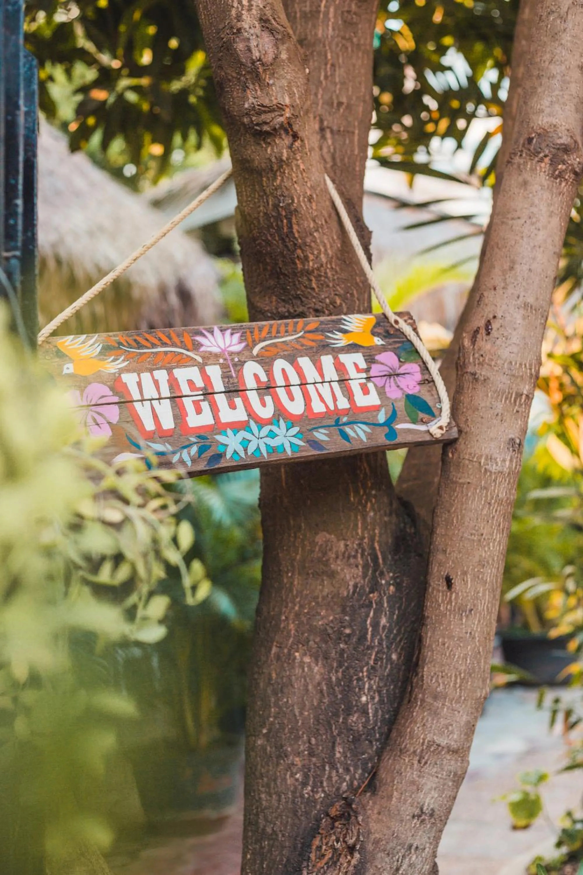 Garden in Baby Elephant Boutique Hotel
