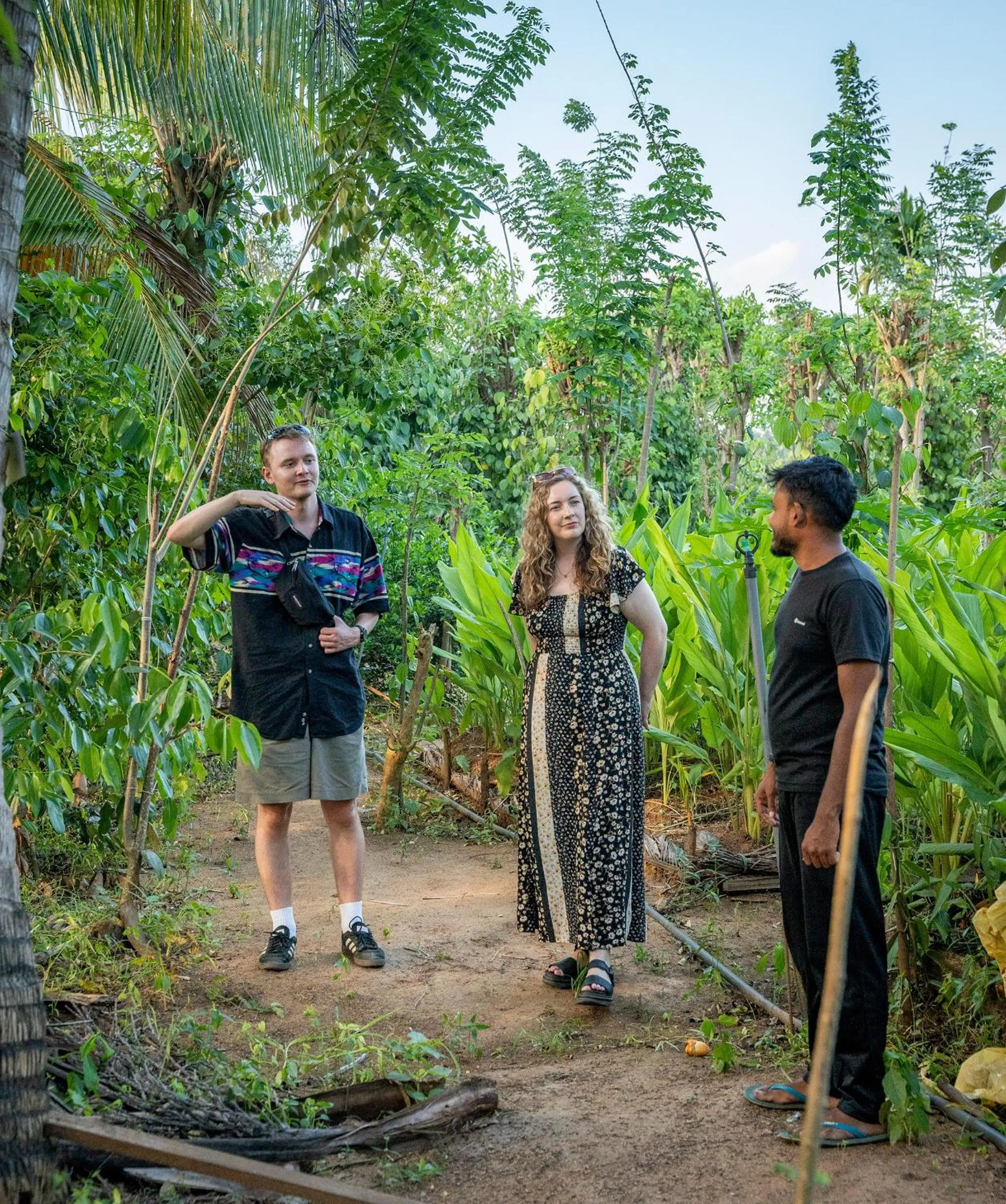 Garden in Mailagama Cinnamon Residence