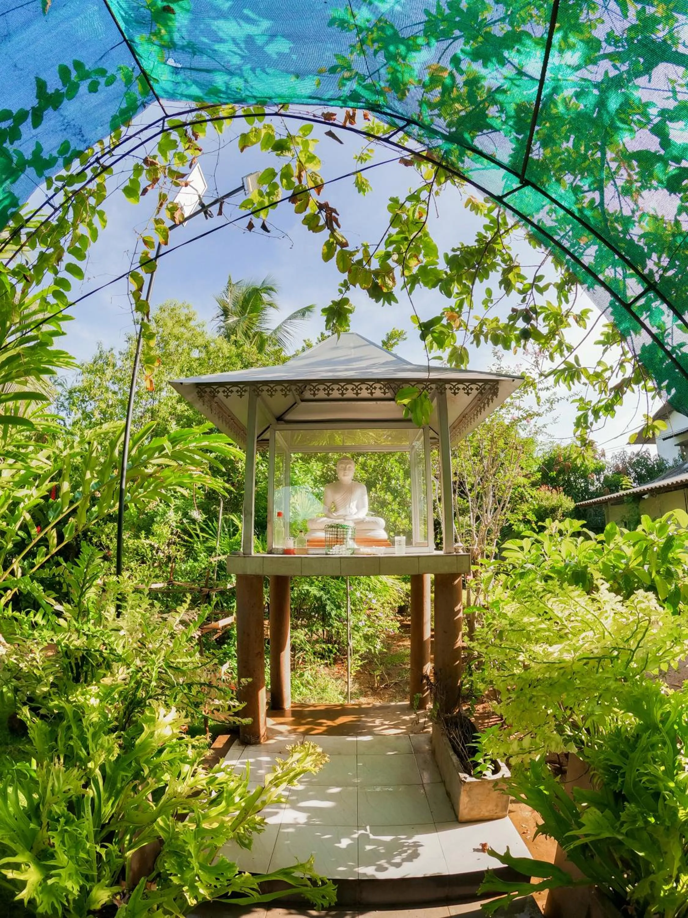 Garden in Mailagama Cinnamon Residence