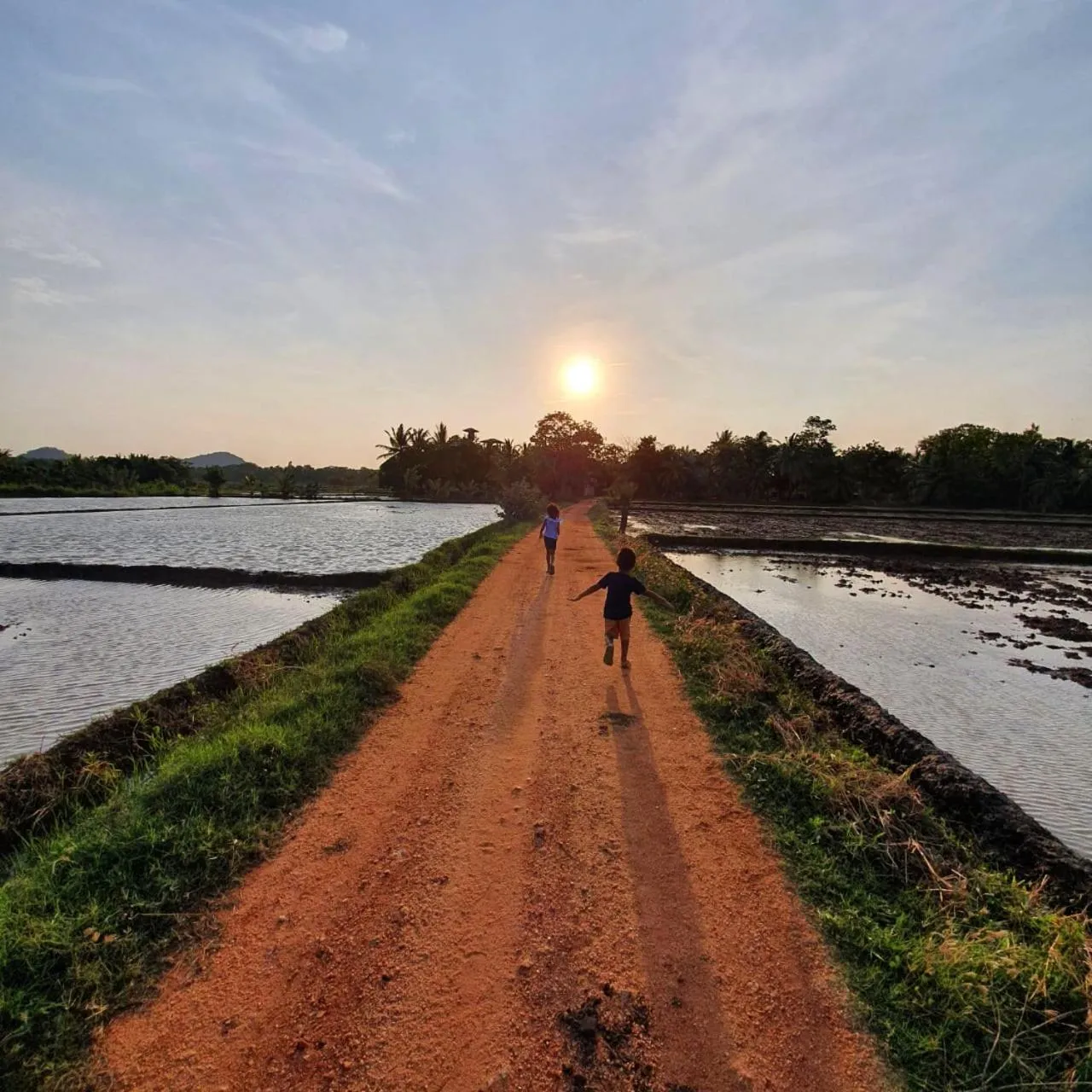 Natural landscape in Mailagama Cinnamon Residence