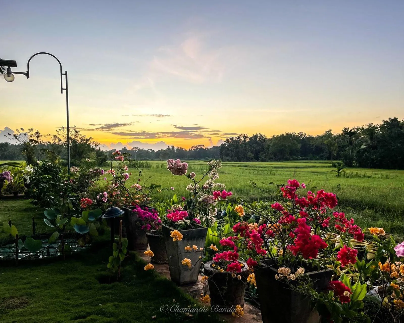 Garden view in Mailagama Cinnamon Residence