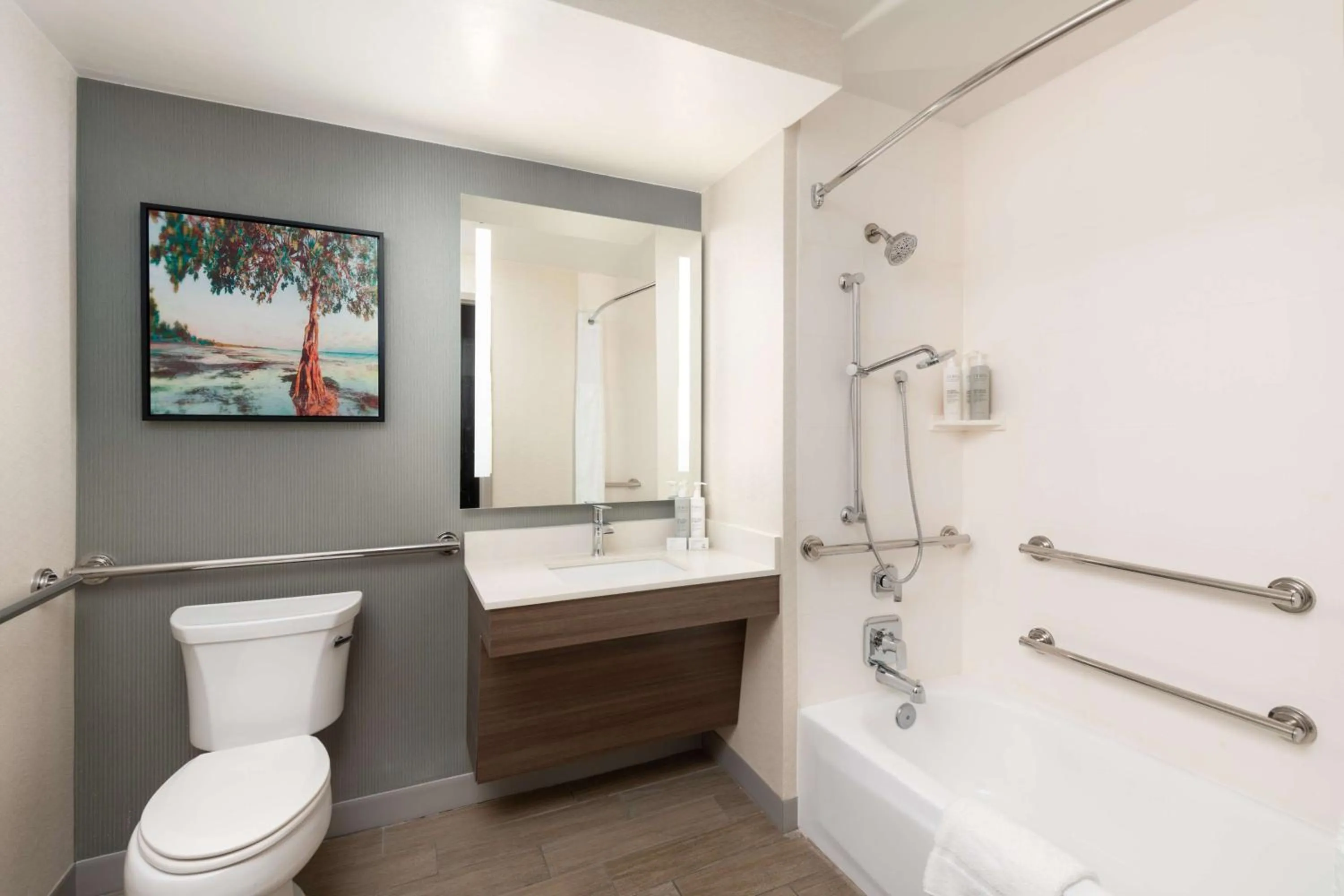 Bathroom in Hilton Garden Inn Tallahassee