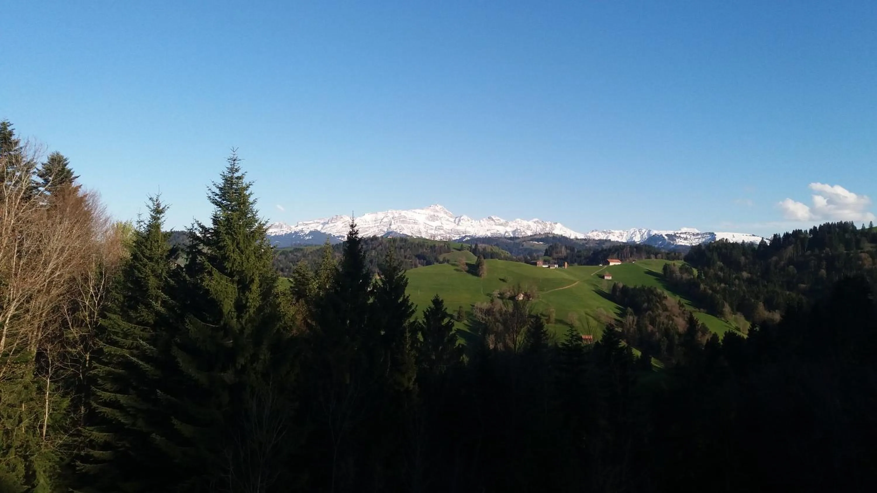 On site in Gasthaus Fuchsacker