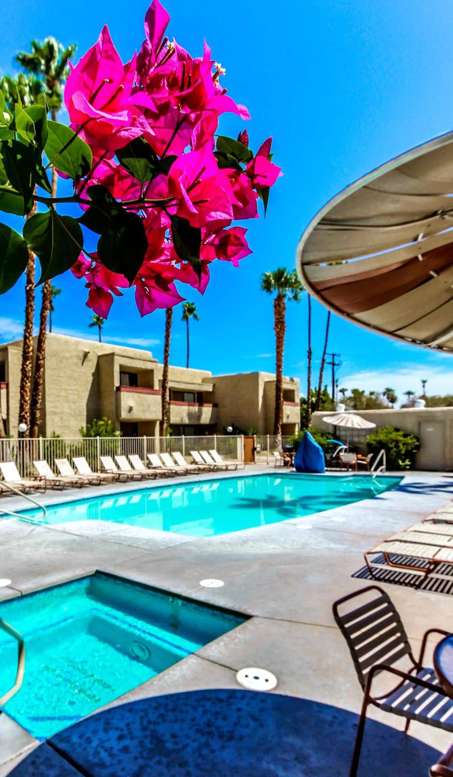 Swimming pool in Desert Vacation Villas