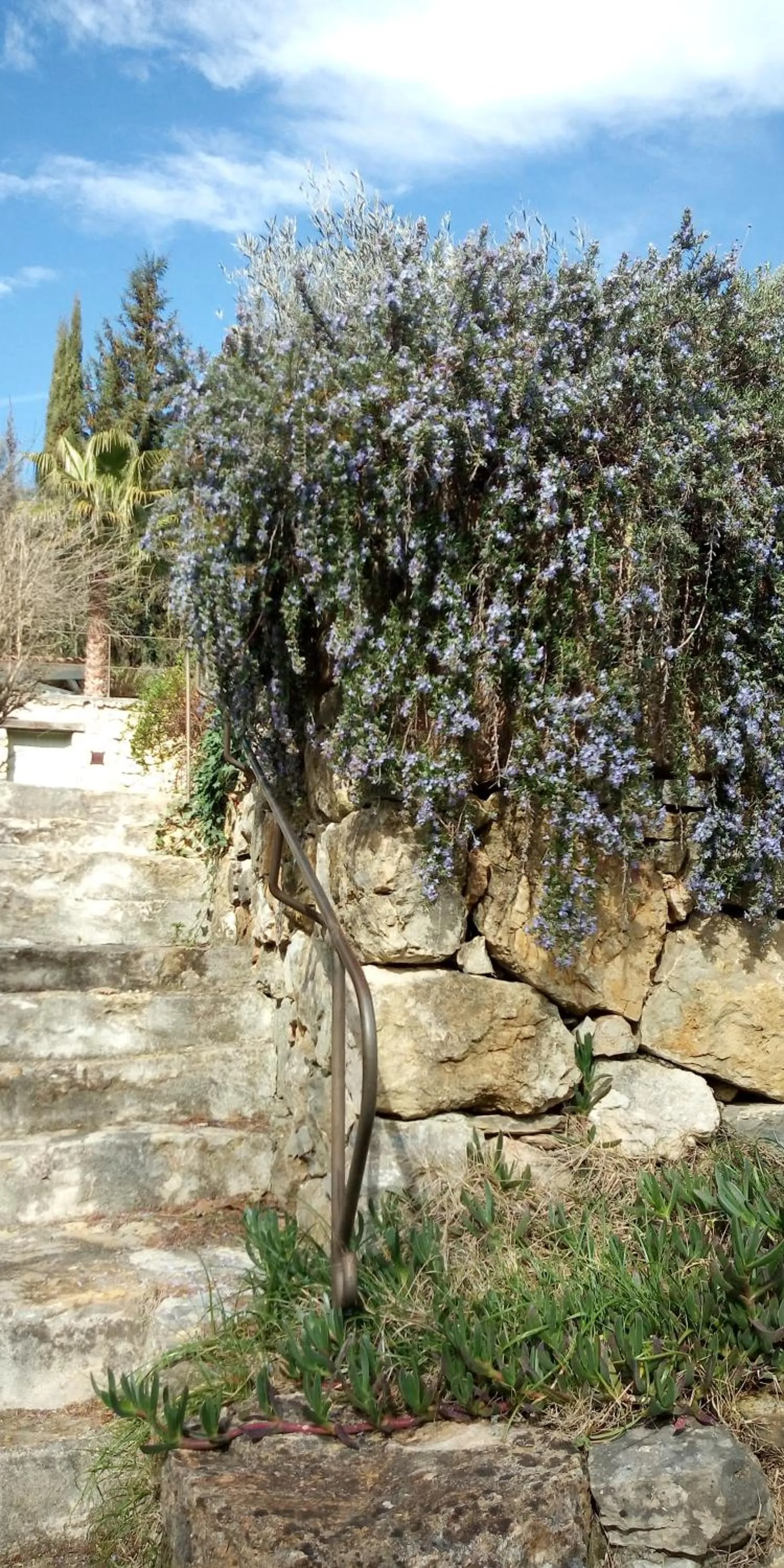 Facade/entrance in Le Mas de FRAYERE