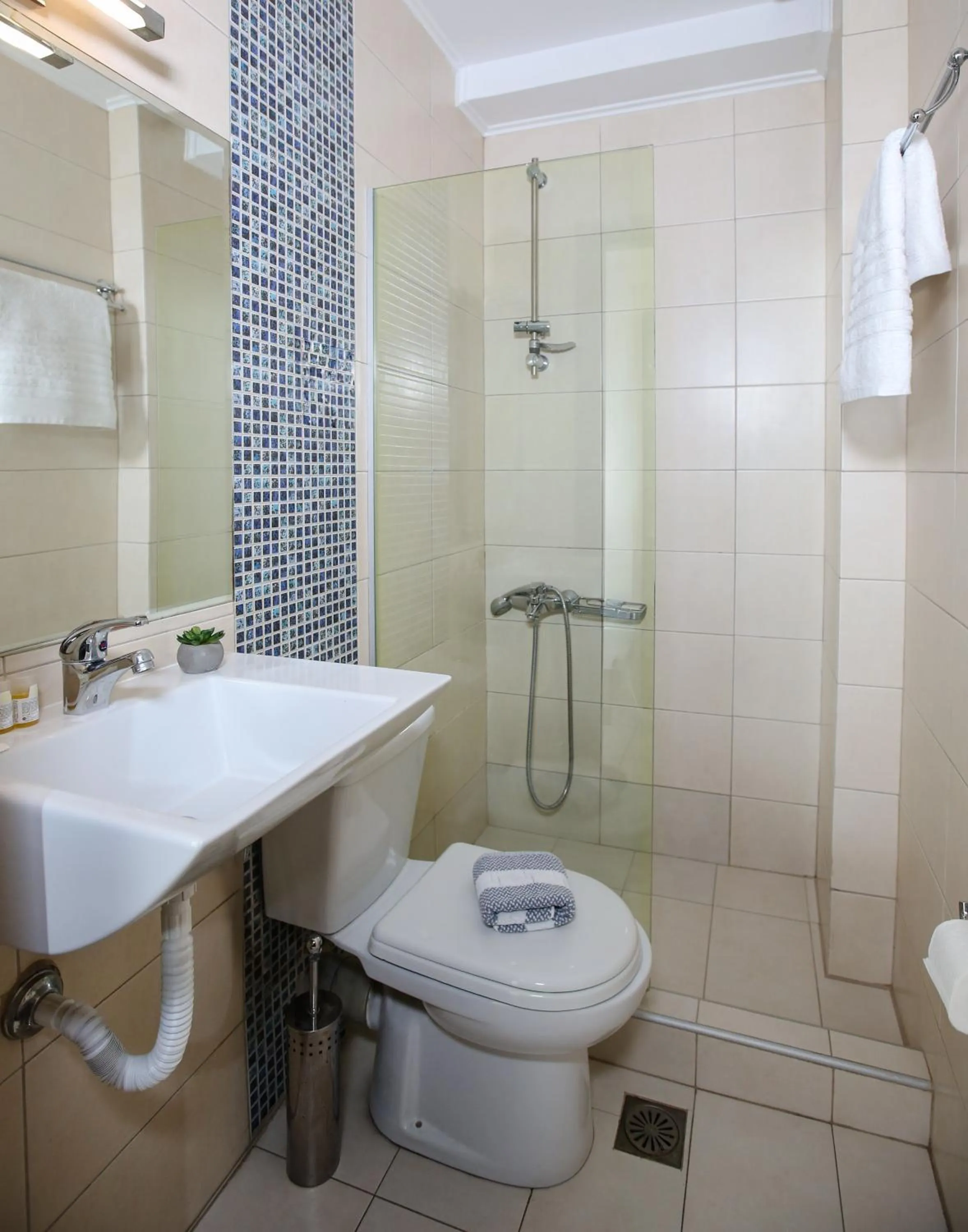 Shower in Hotel Astron