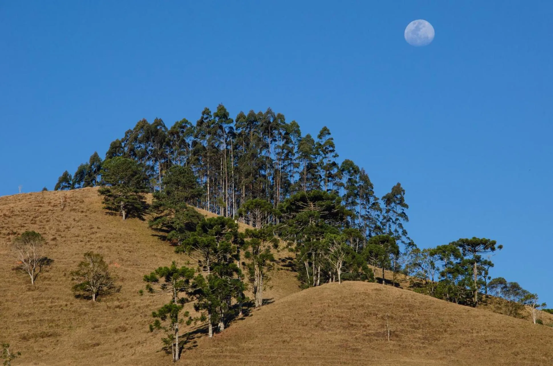 Natural landscape in Pousada Vista Bonita