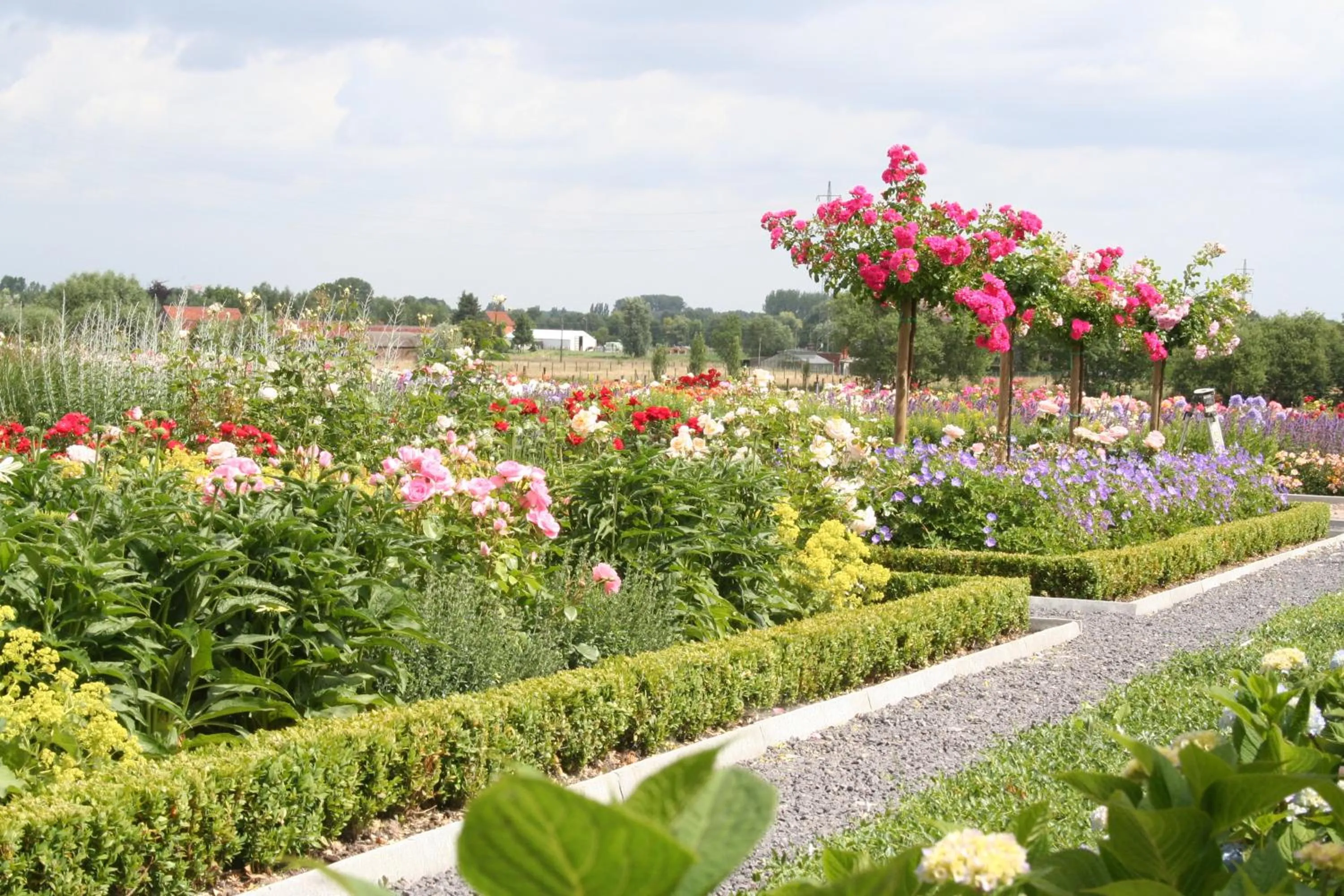 Garden in B&B La Vie En Roses