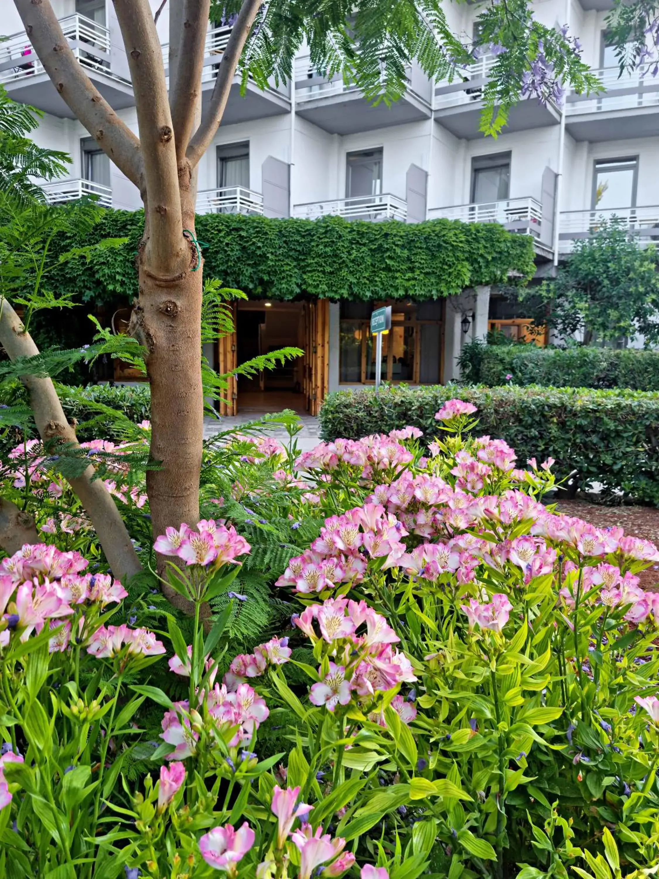 Facade/entrance in The Grove Seaside Hotel Facade/entrance in The Grove Seaside Hotel