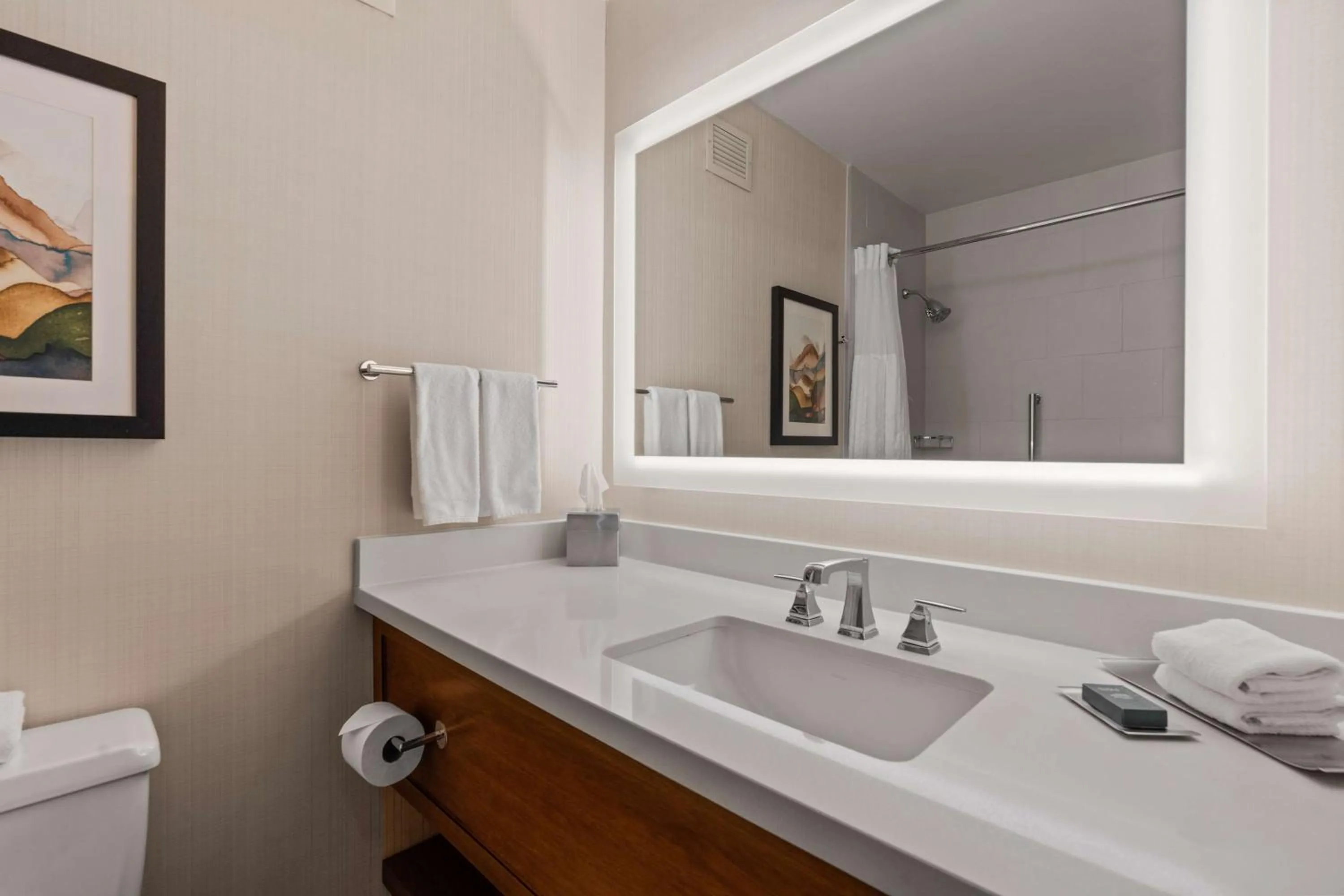 Bathroom in DoubleTree by Hilton Spokane City Center