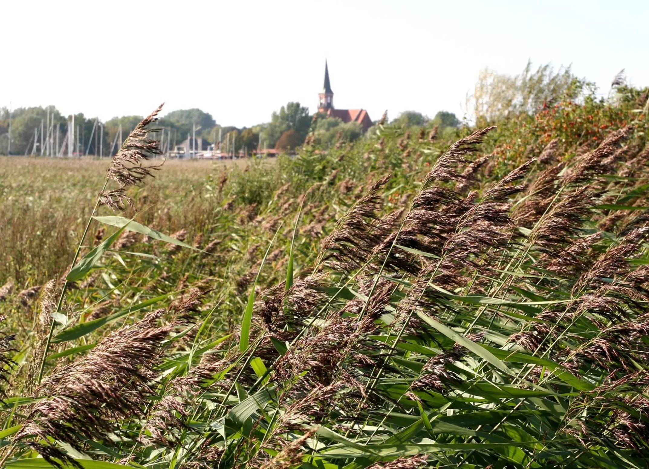 Off site in Ostseehotel Wustrow