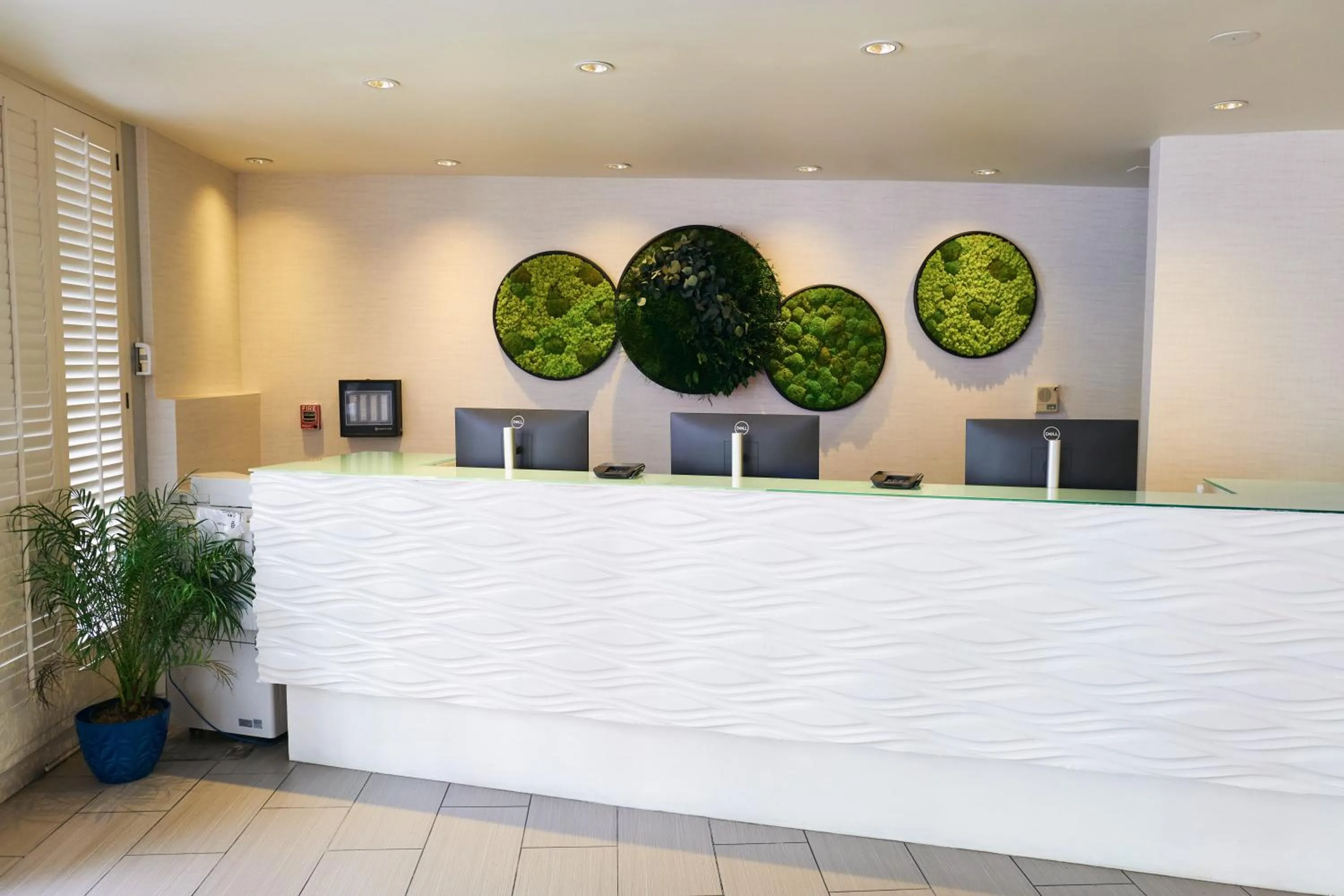 Lobby or reception in SoMa House