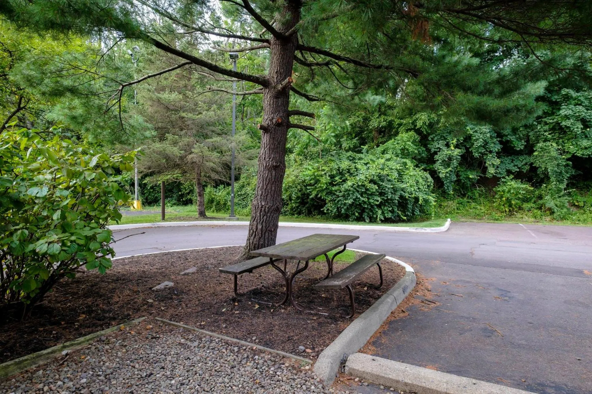 BBQ facilities in Red Roof Inn Danville, PA
