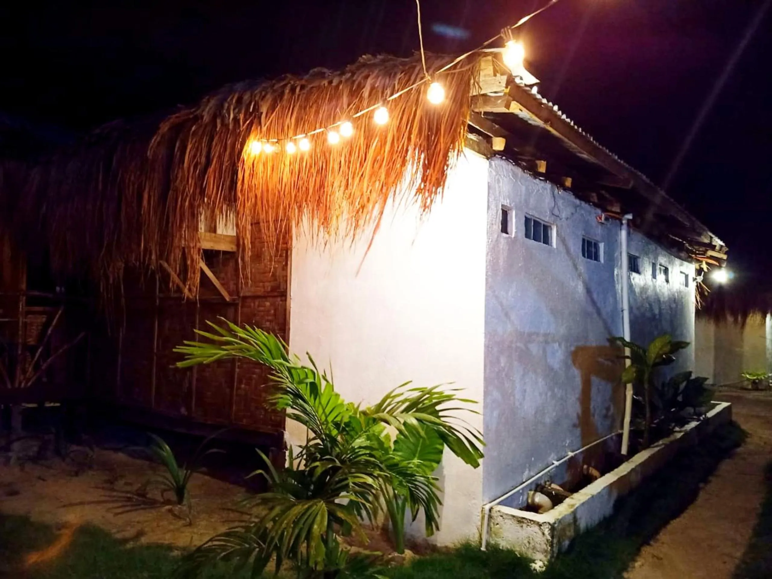 Property building in Siargao Tropic Hostel