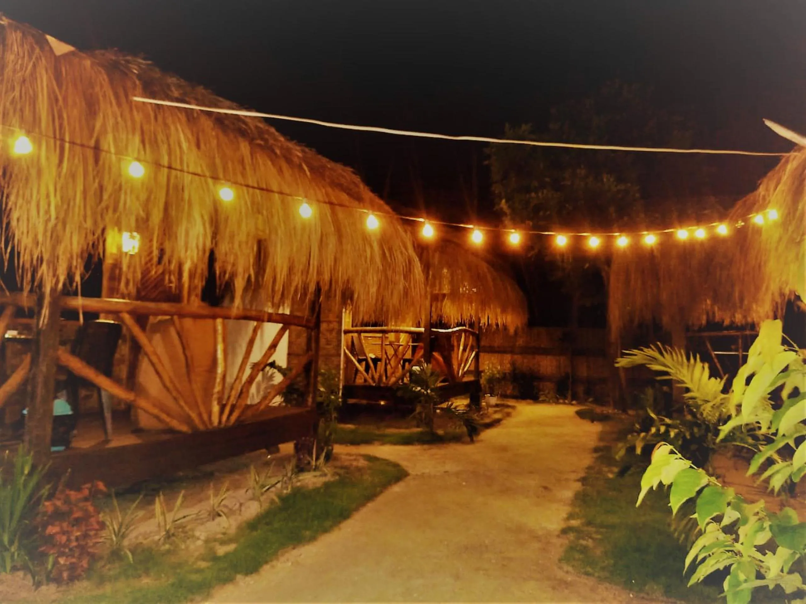 Patio in Siargao Tropic Hostel