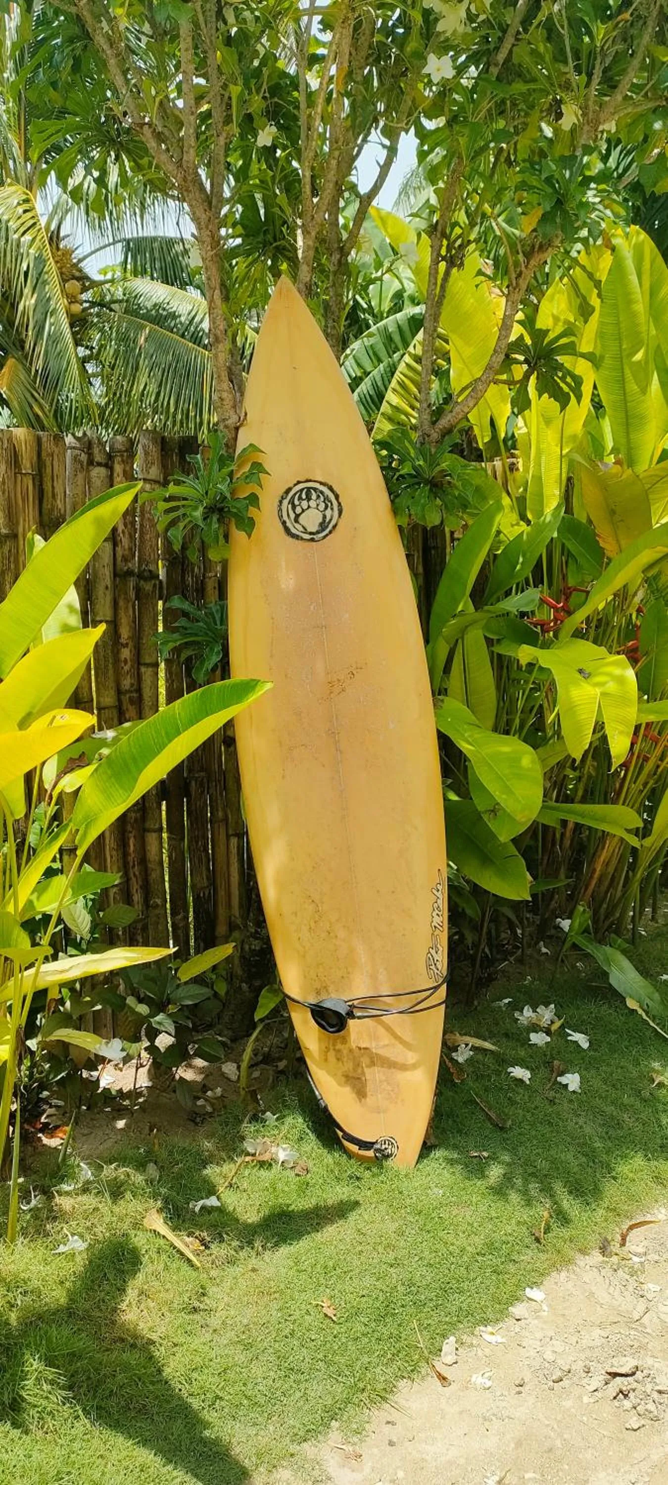 Property building in Siargao Tropic Hostel