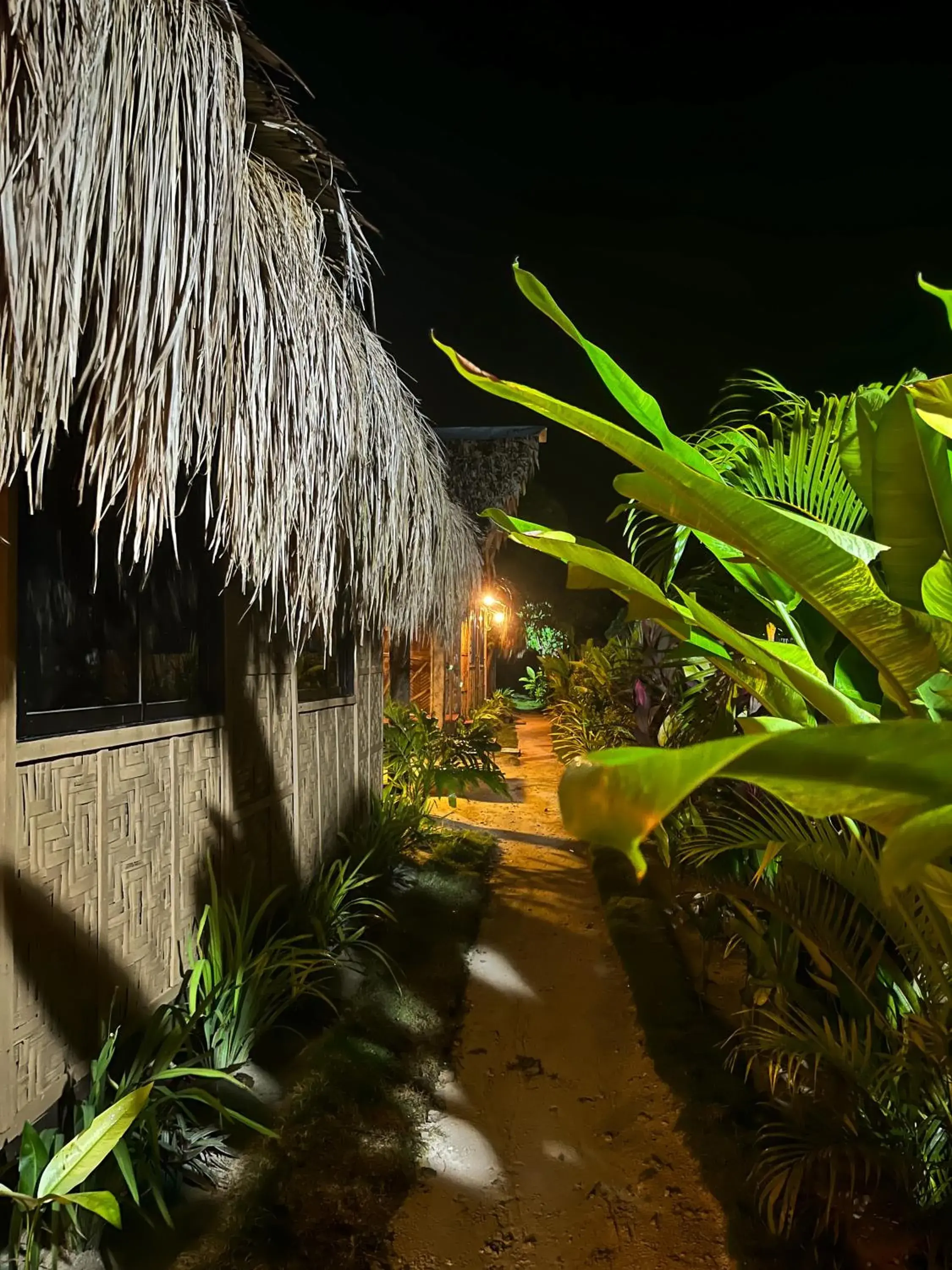 Siargao Tropic Hostel Siargao Tropic Hostel