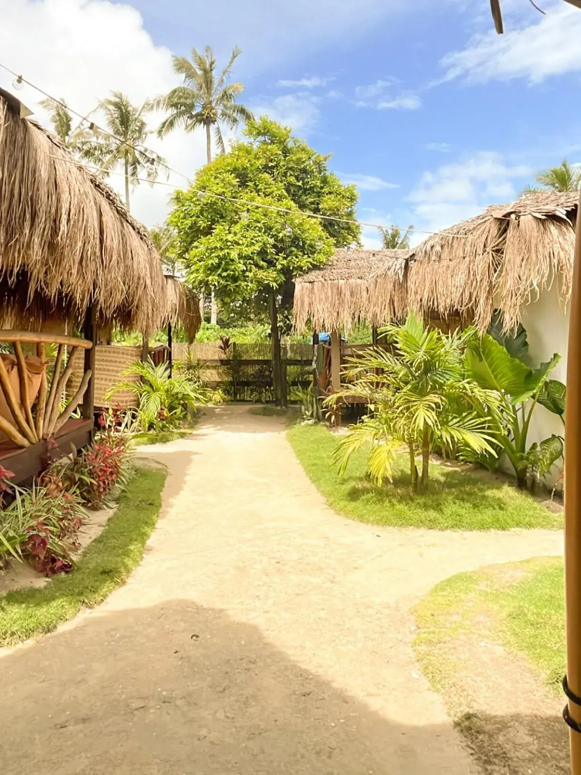 Garden view in Siargao Tropic Hostel Garden view in Siargao Tropic Hostel