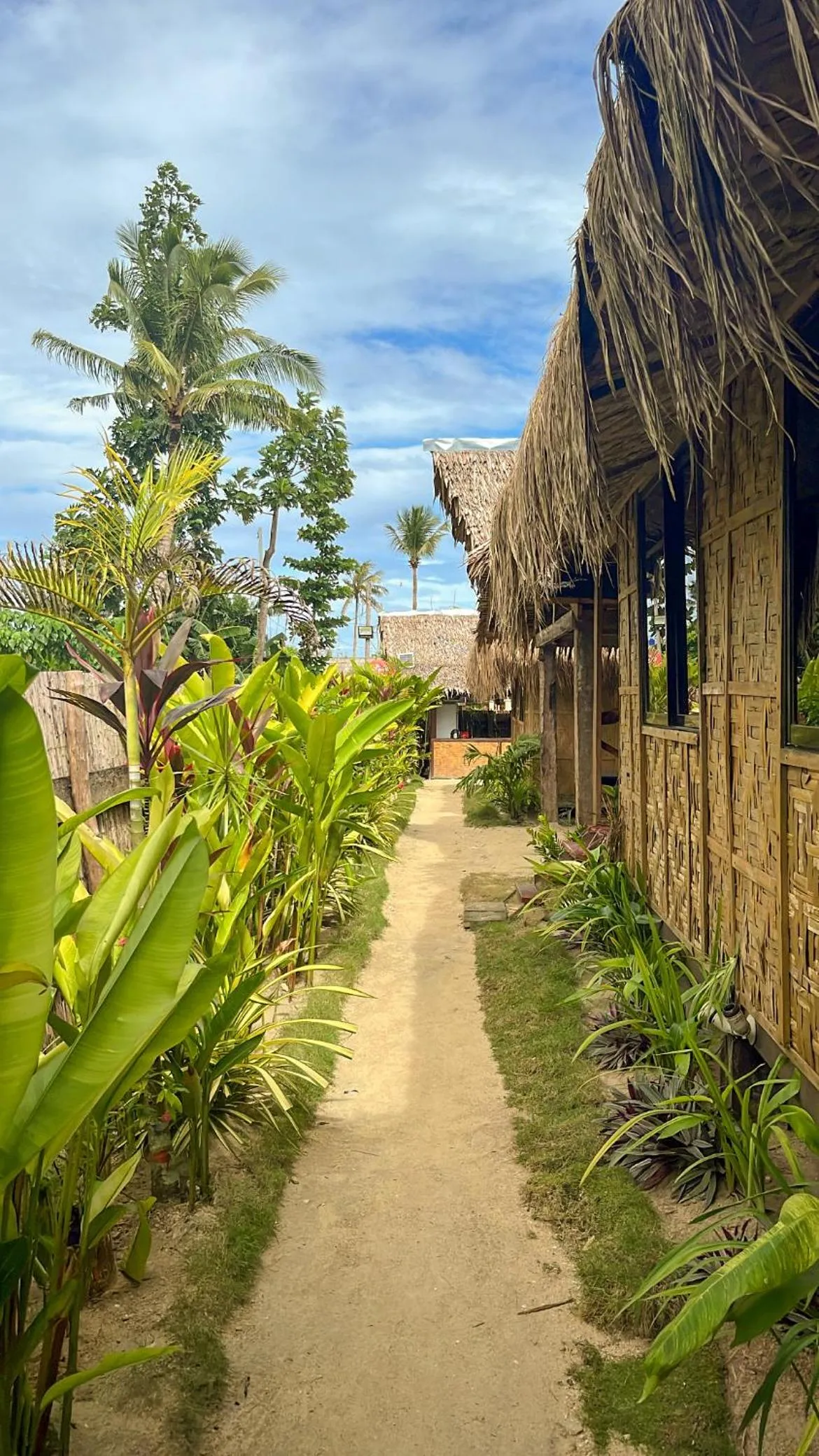 Patio in Siargao Tropic Hostel