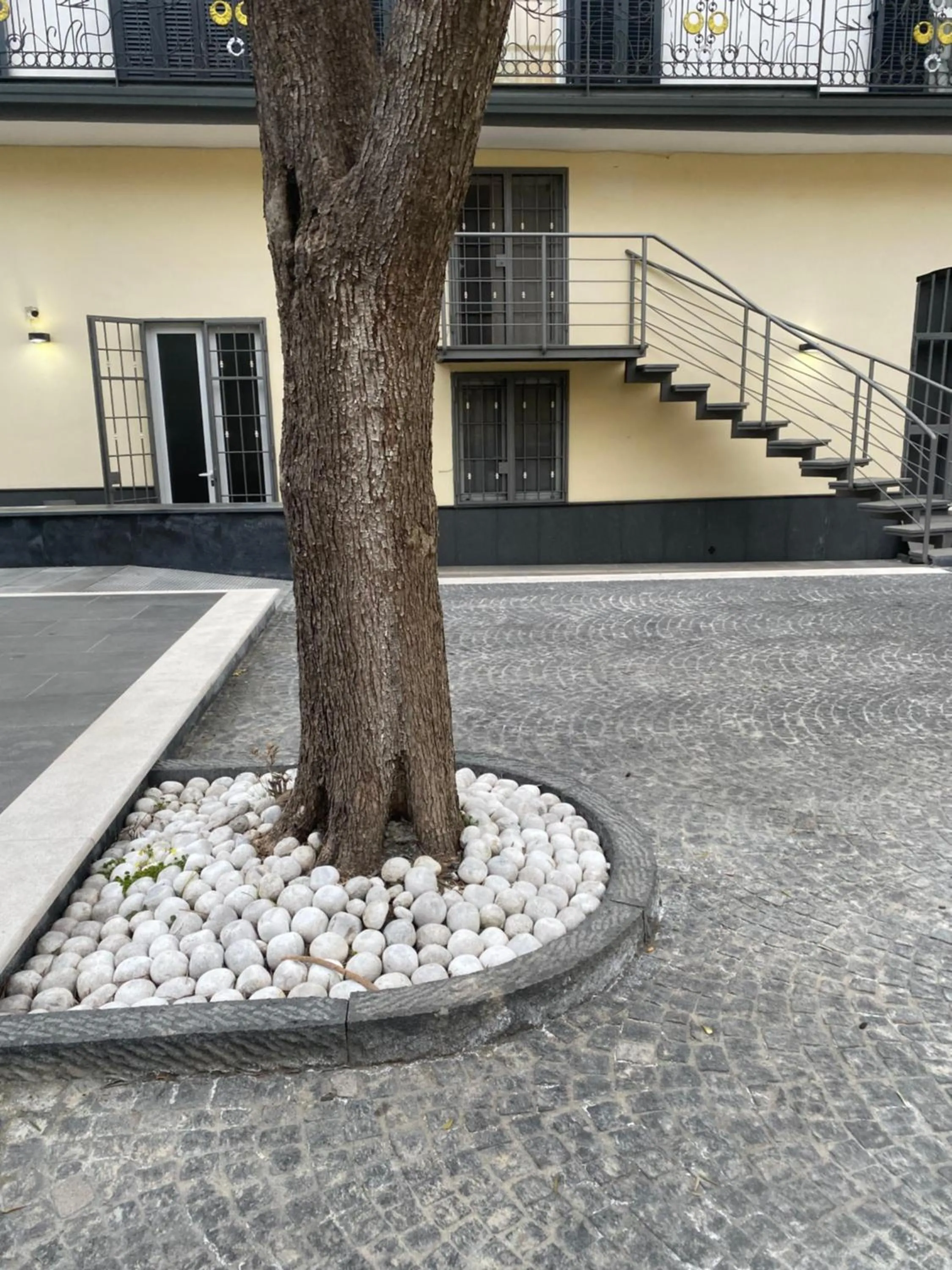 Day in B&B Villa Filù