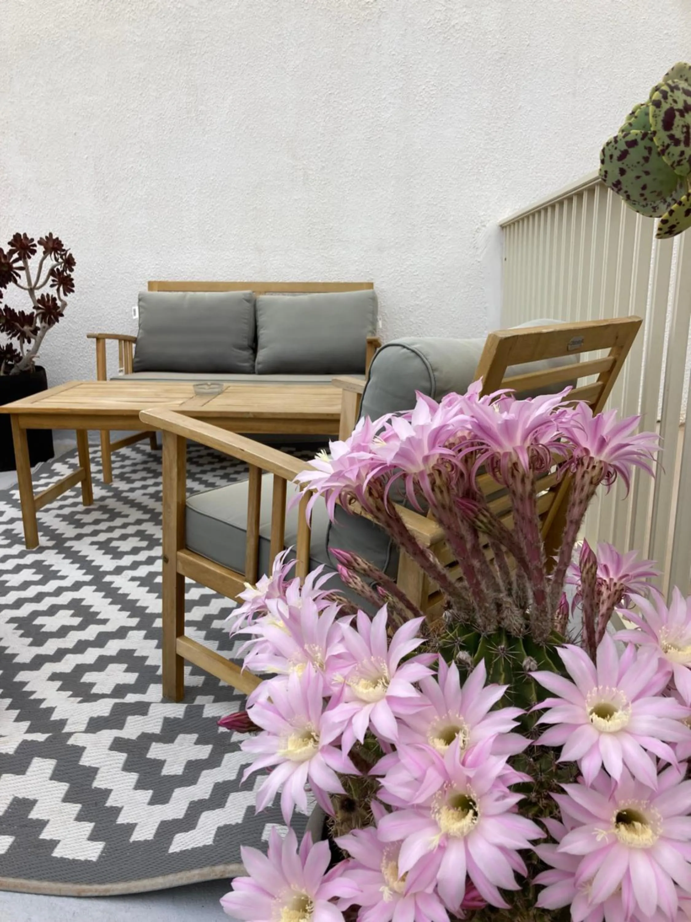 Balcony/Terrace in B&B CASA GILANIA LAMPEDUSA