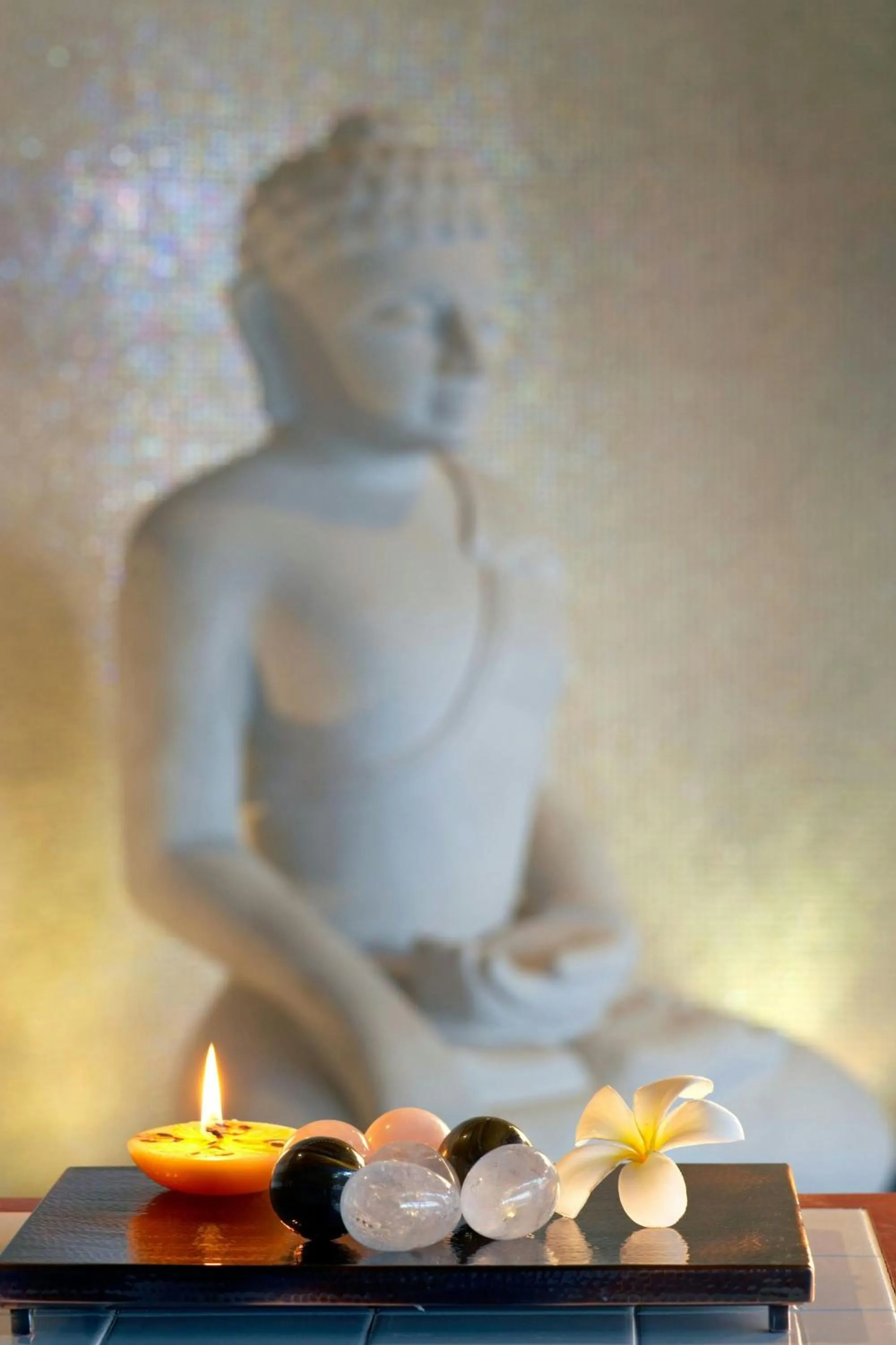 Spa and wellness centre/facilities in The Westin Sohna Resort & Spa