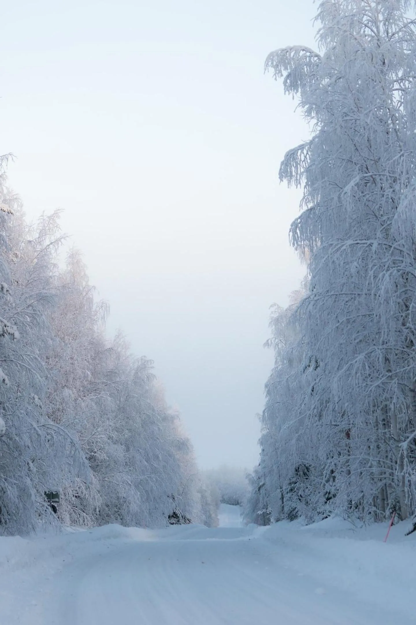 Winter in Heidin Mummola Farm