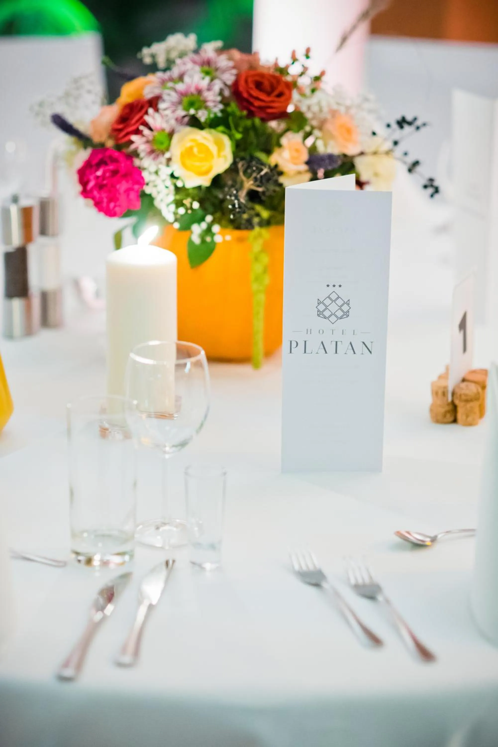 Restaurant/places to eat in Hotel Platan