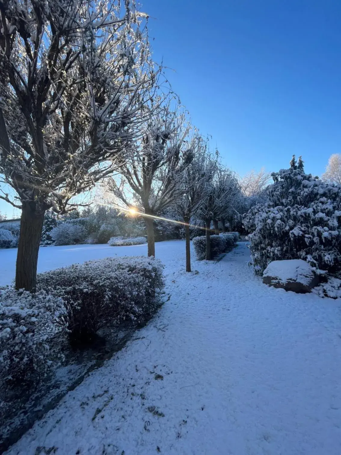 Property building in Hotel Platan Property building in Hotel Platan