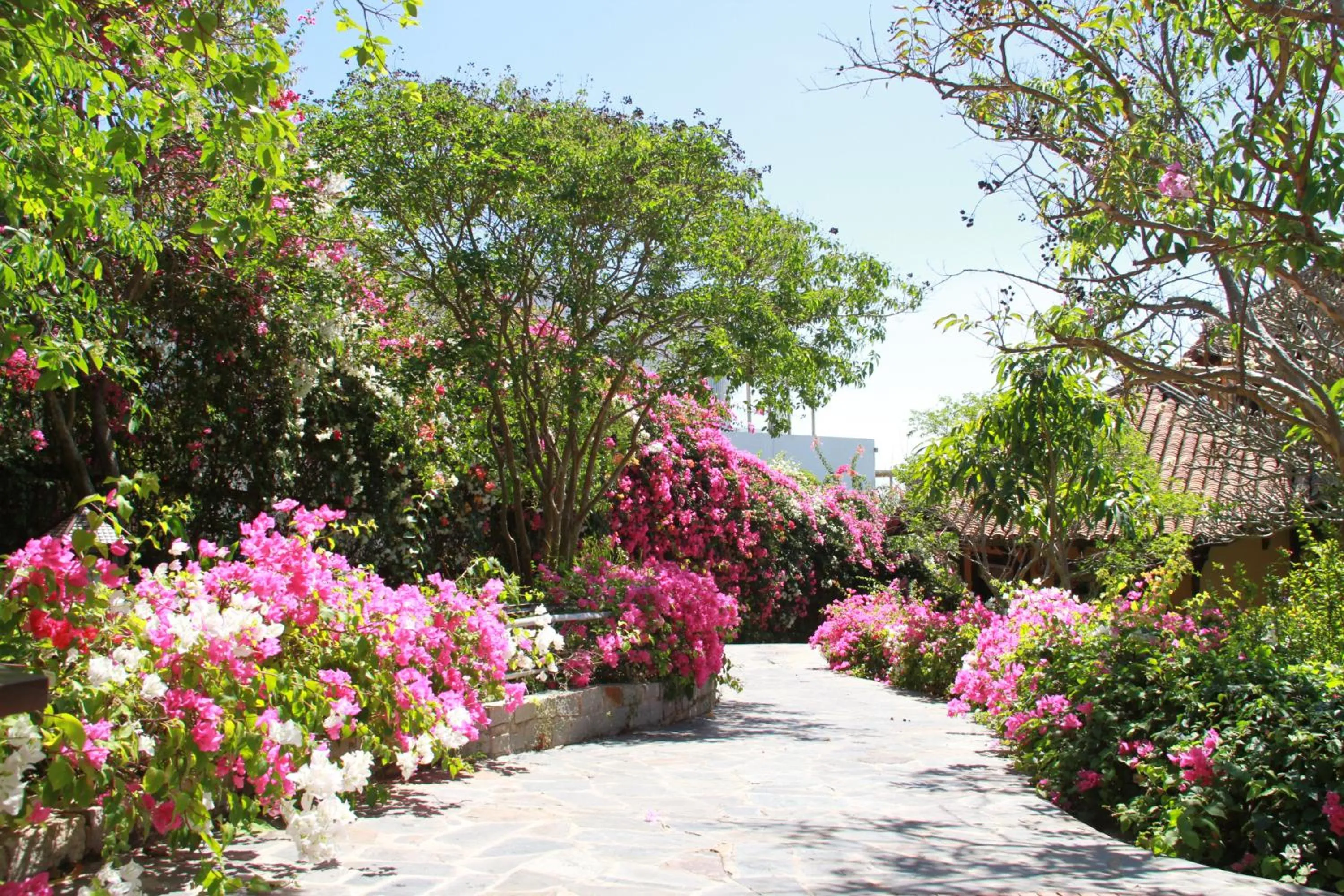 Spring in Poshanu Boutique Resort