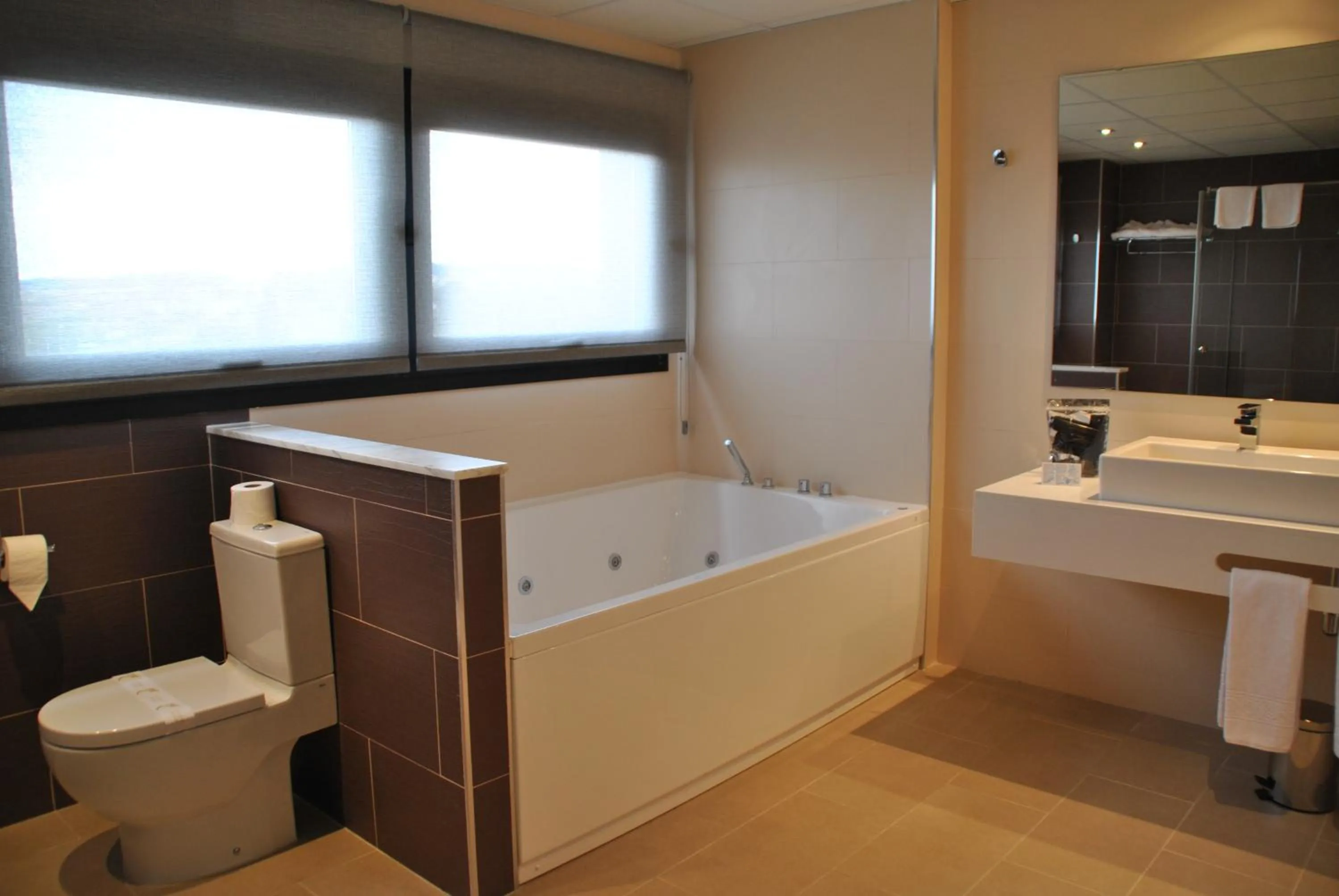 Bathroom in Brea's Hotel