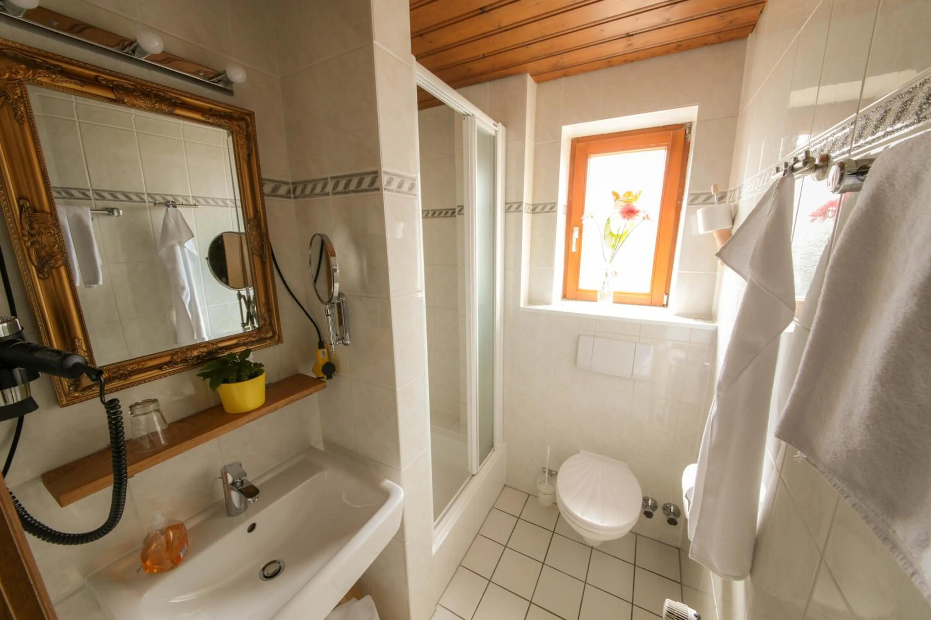 Bathroom in Hotel Kraus