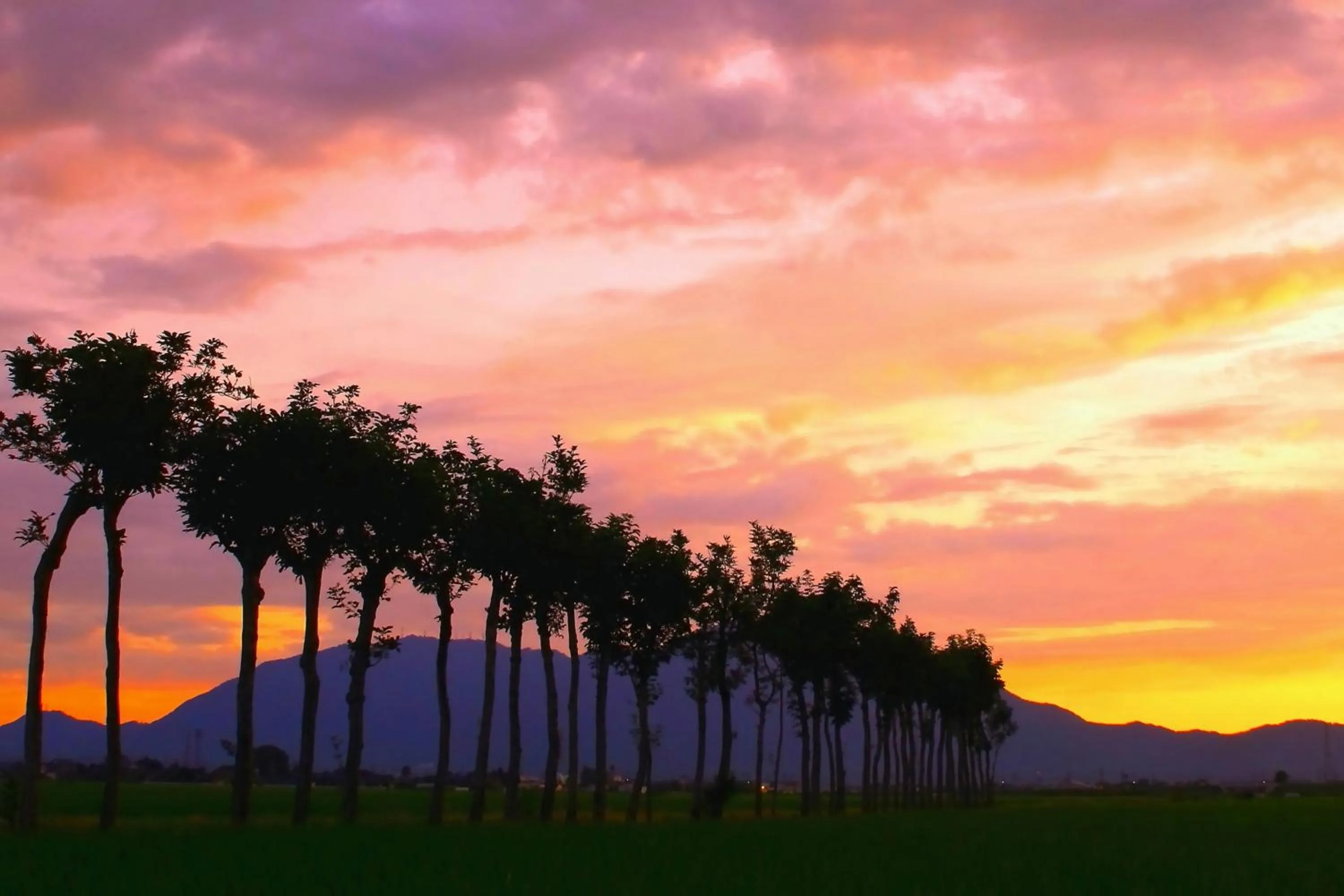 Nearby landmark in Hotel Sunroute Niigata
