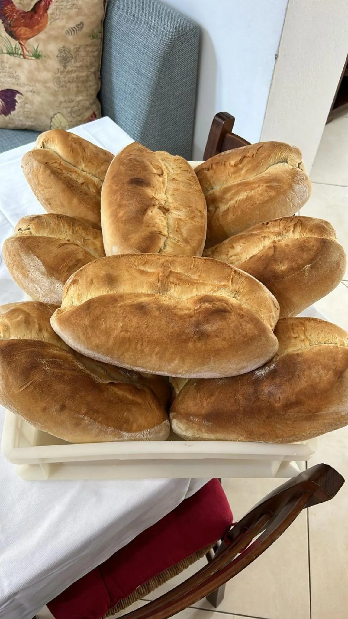 Food and drinks in Trattoria Al Gallo