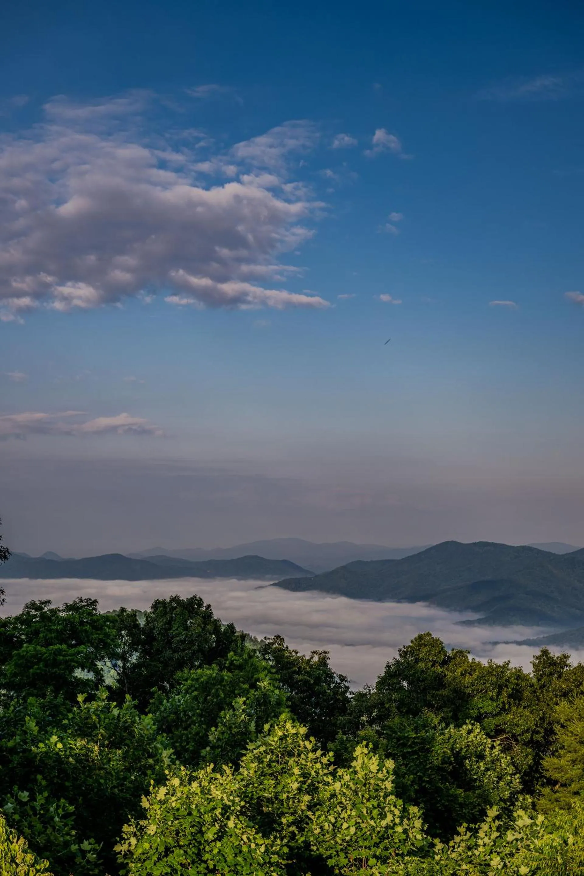 Activities in Fire Mountain