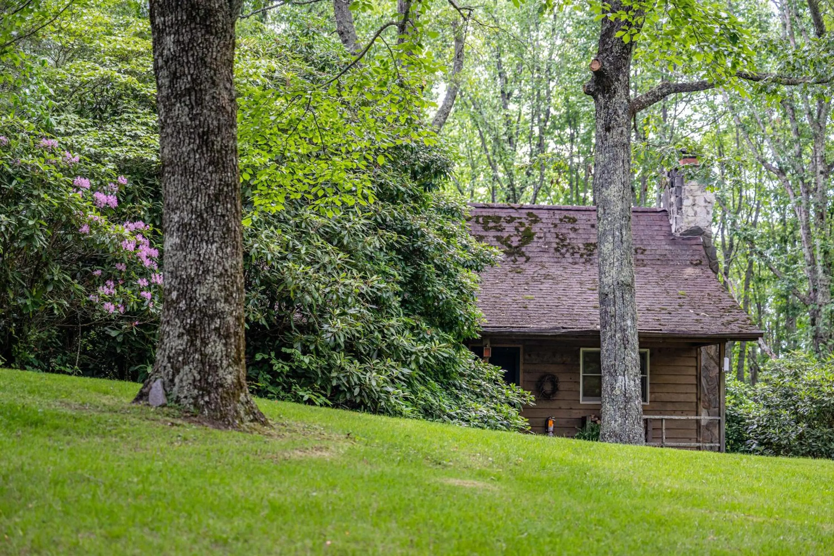 Activities in Fire Mountain