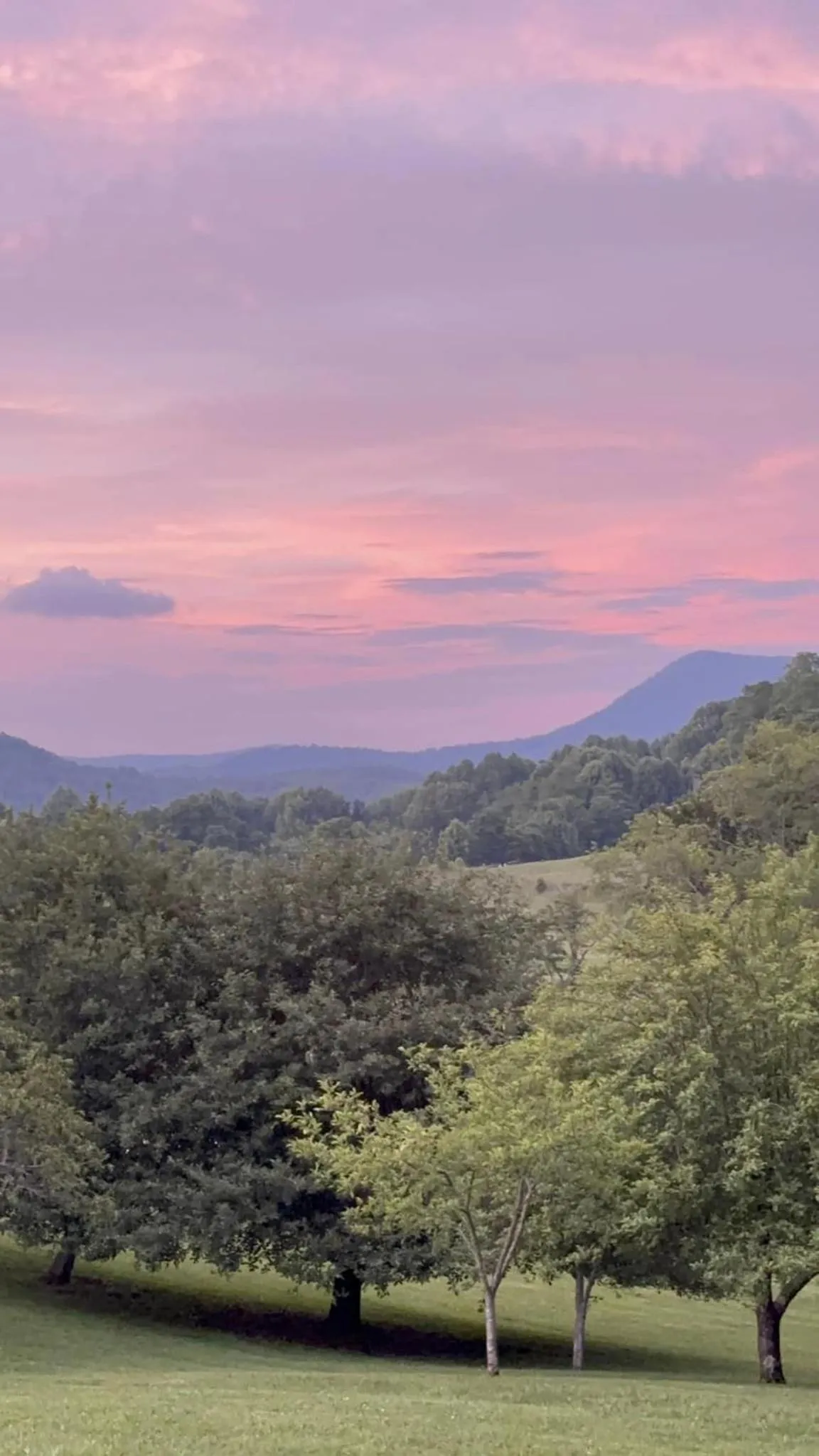 Activities in Fire Mountain