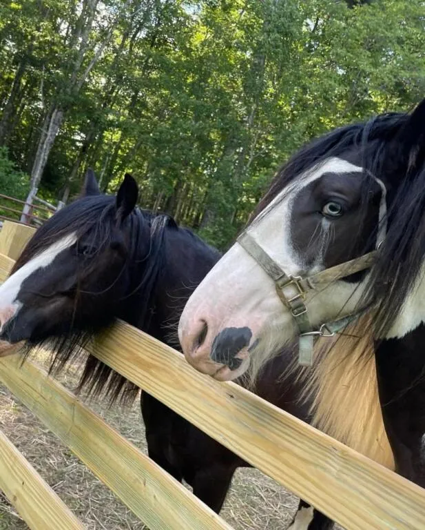 Activities in Fire Mountain