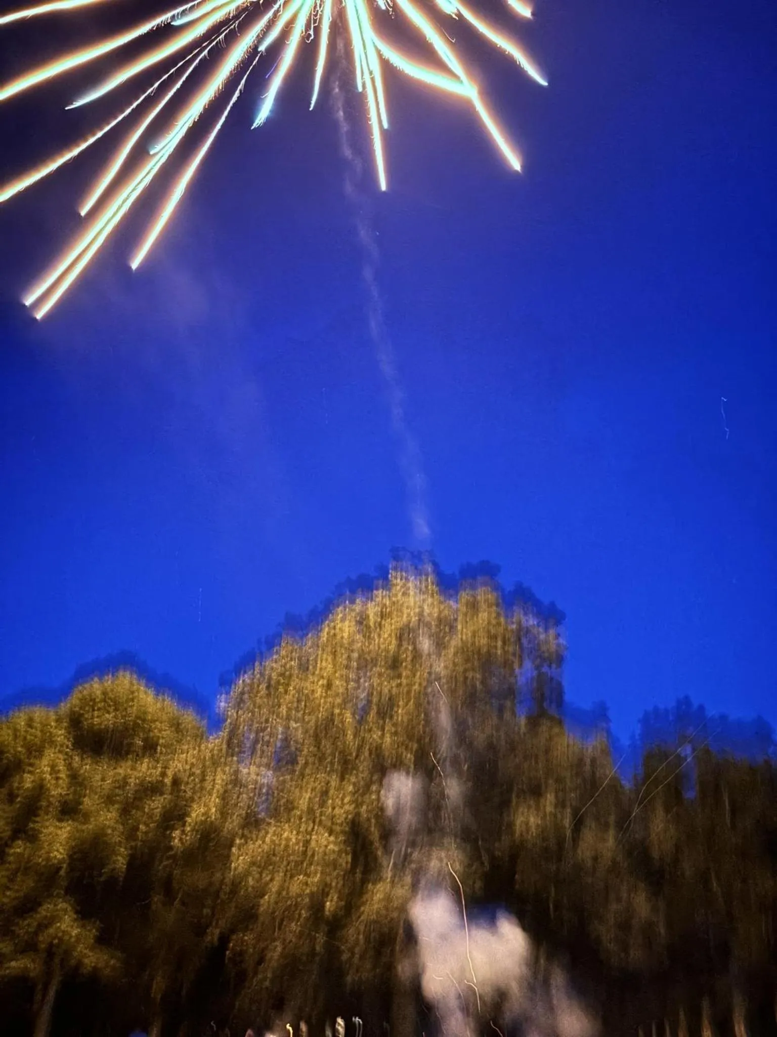 Other in Fire Mountain