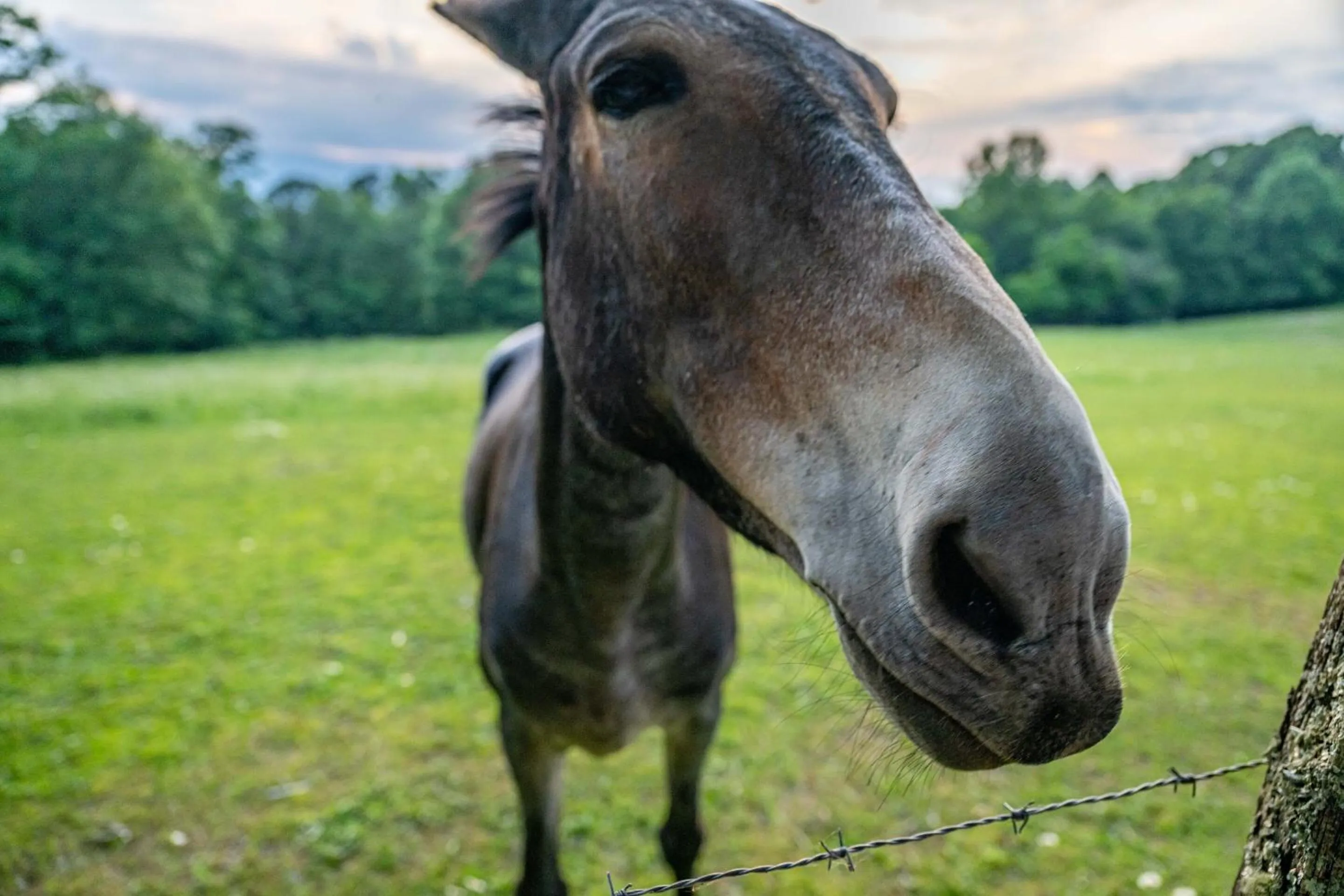 Activities in Fire Mountain