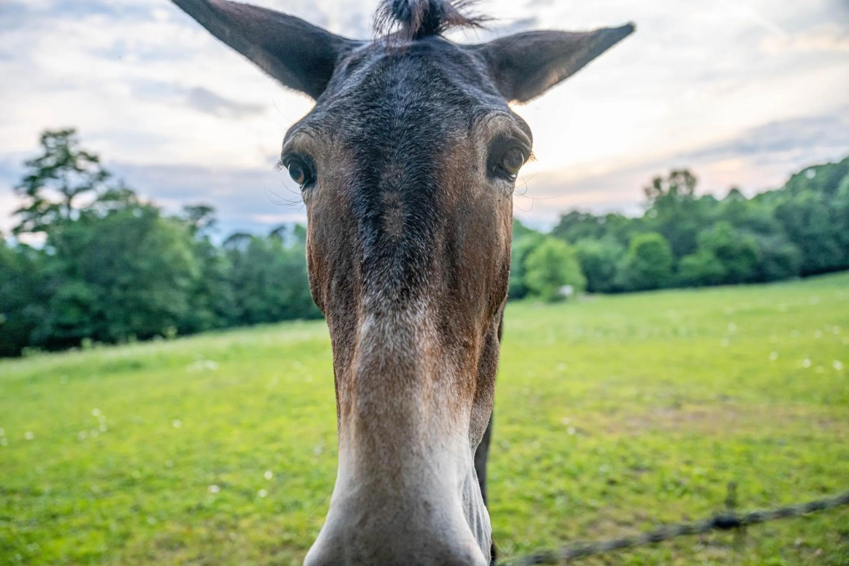Activities in Fire Mountain